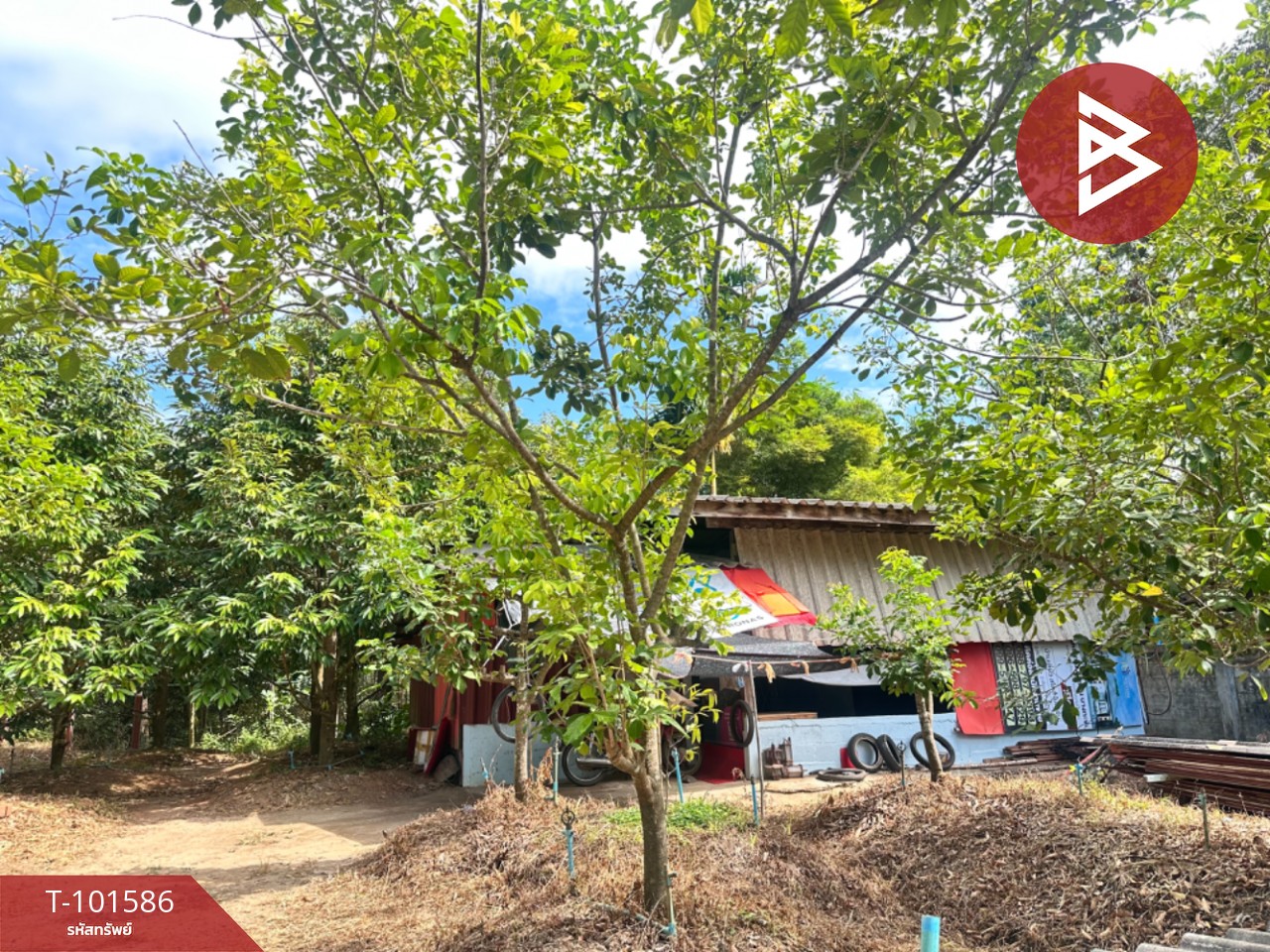 Property image 7