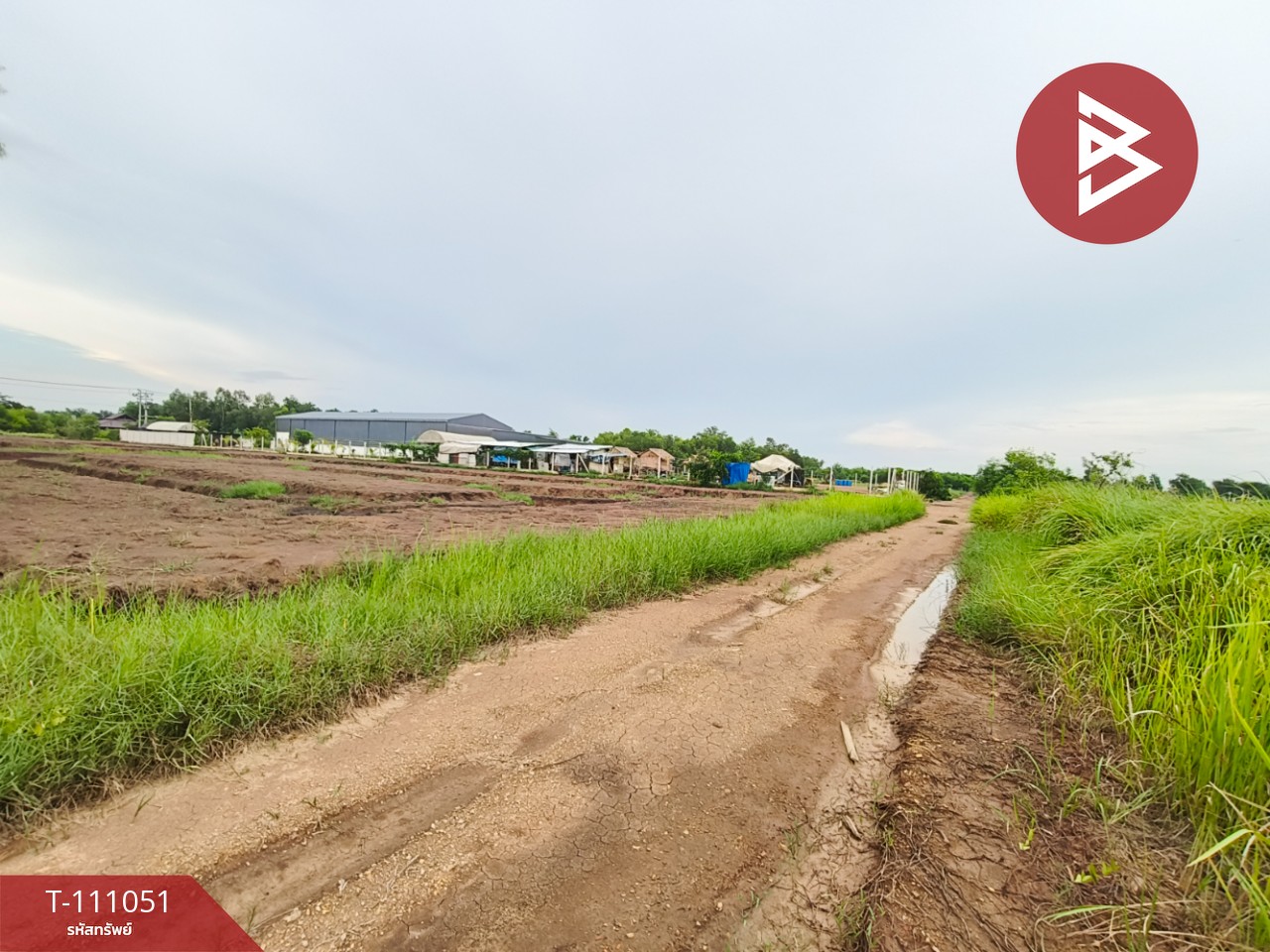 ขายที่ดิน เนื้อที่ 4 ไร่ หนองเสือ ปทุมธานี 6