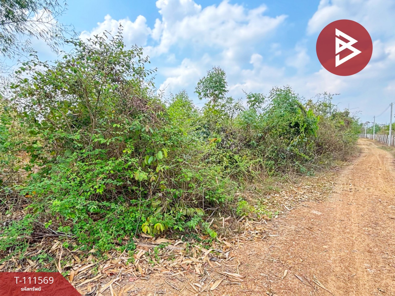 ขายที่ดิน โฉนดครุฑแดง เนื้อที่ 14 ไร่ 3 งาน 33.2 ตร.วา ปากท่อ ราชบุรี 2