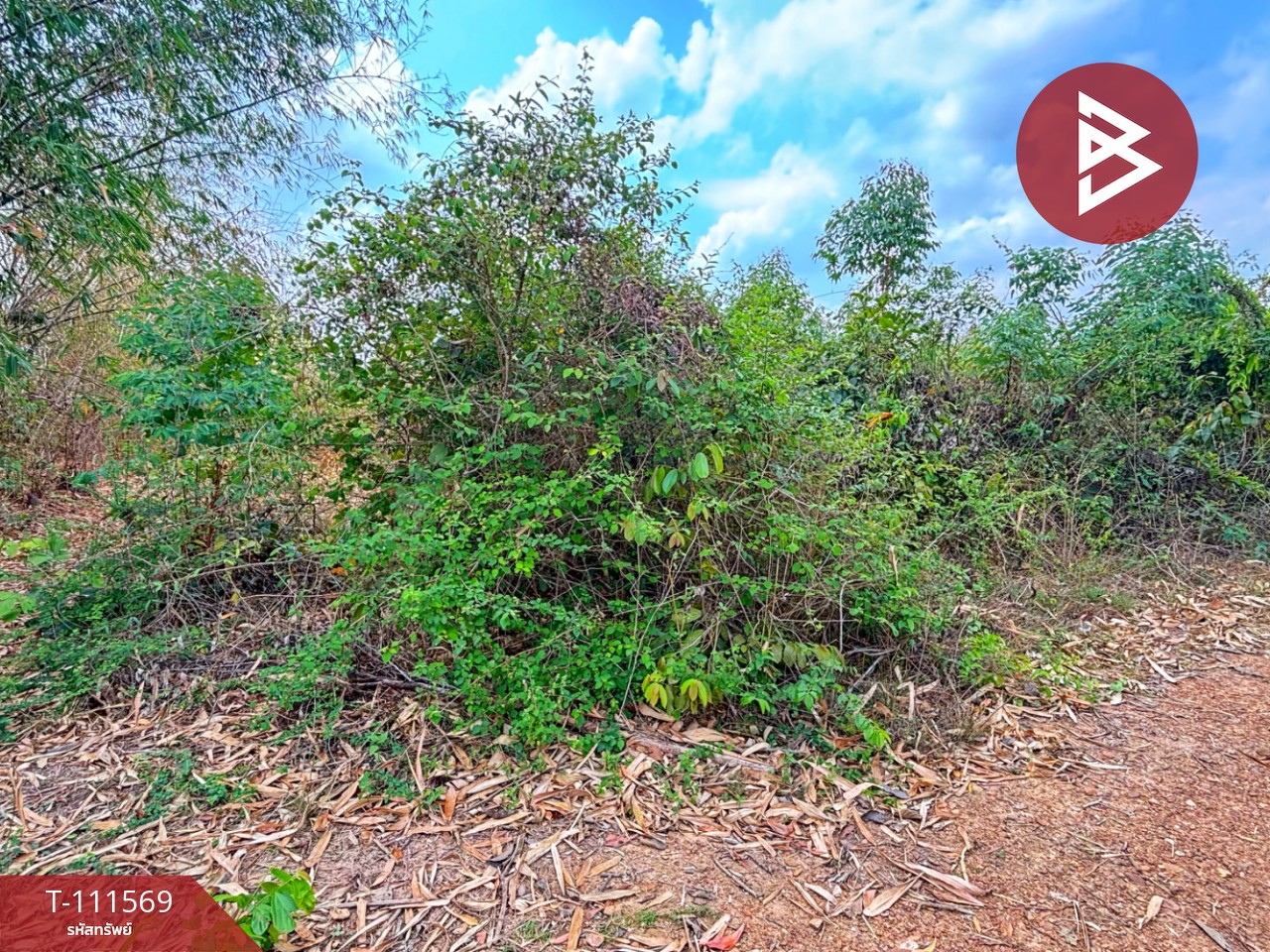 ขายที่ดิน โฉนดครุฑแดง เนื้อที่ 14 ไร่ 3 งาน 33.2 ตร.วา ปากท่อ ราชบุรี 9