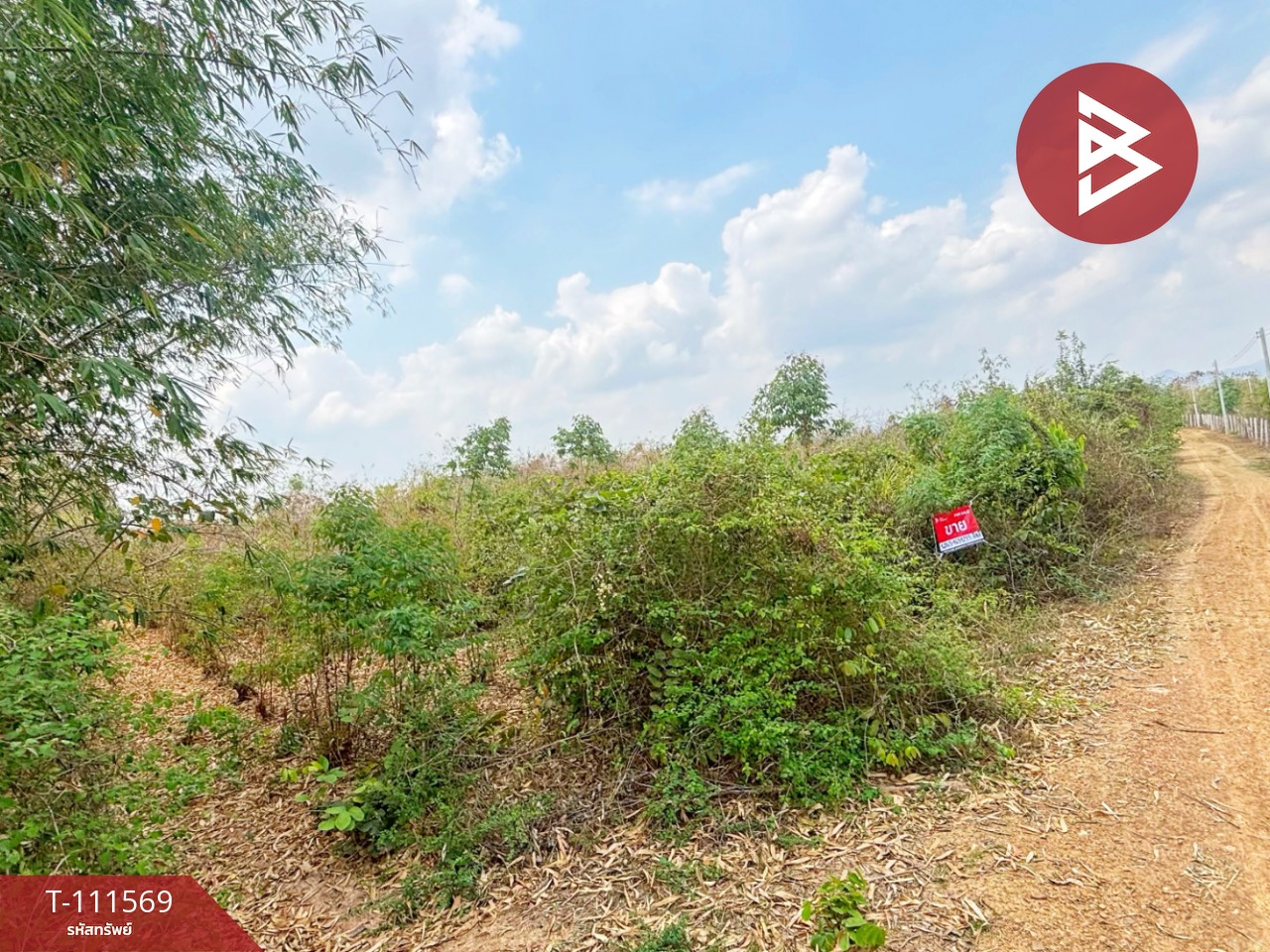 ขายที่ดิน โฉนดครุฑแดง เนื้อที่ 14 ไร่ 3 งาน 33.2 ตร.วา ปากท่อ ราชบุรี 1