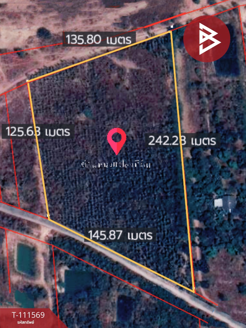 ขายที่ดิน โฉนดครุฑแดง เนื้อที่ 14 ไร่ 3 งาน 33.2 ตร.วา ปากท่อ ราชบุรี 14