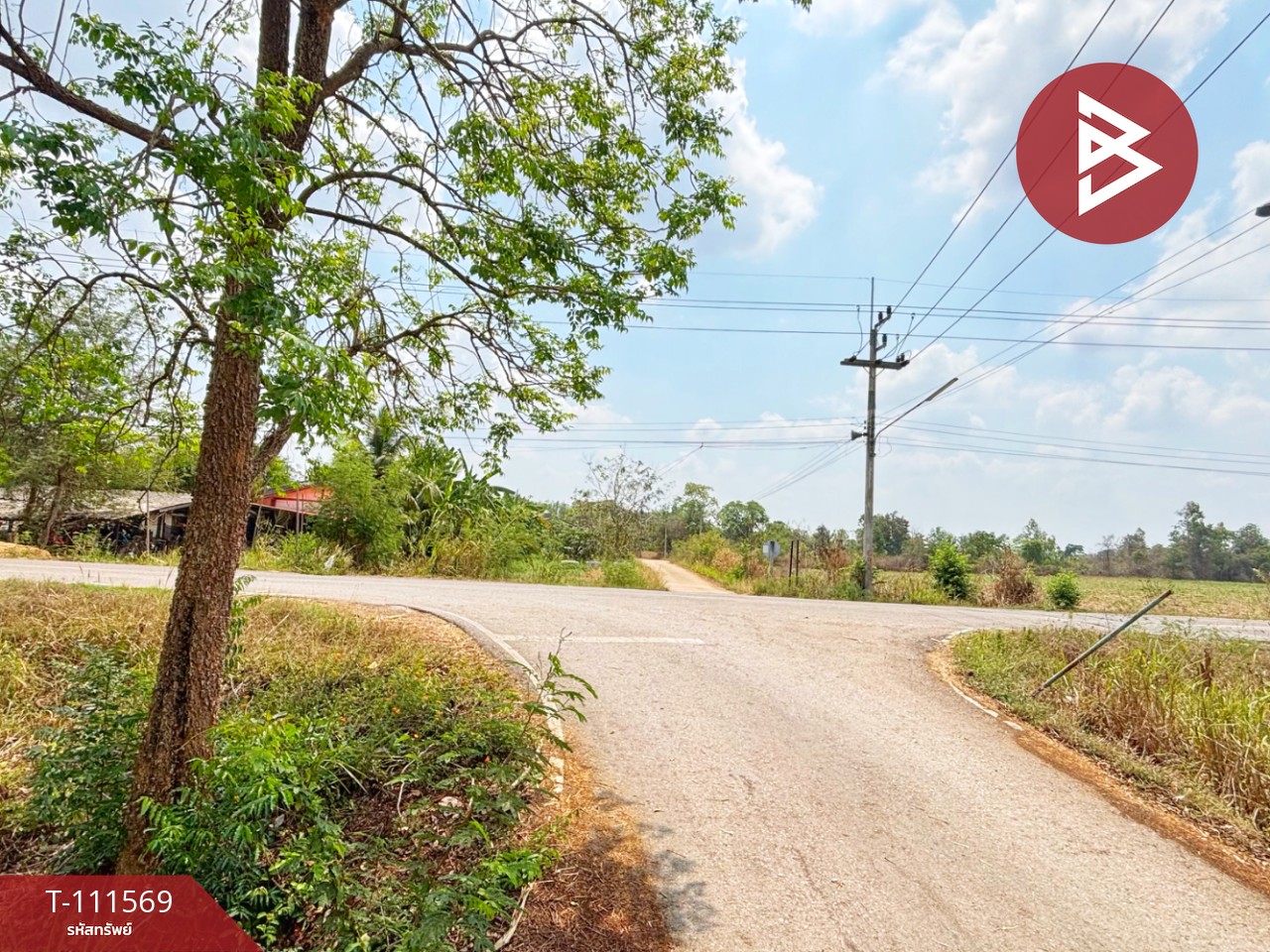 ขายที่ดิน โฉนดครุฑแดง เนื้อที่ 14 ไร่ 3 งาน 33.2 ตร.วา ปากท่อ ราชบุรี 13