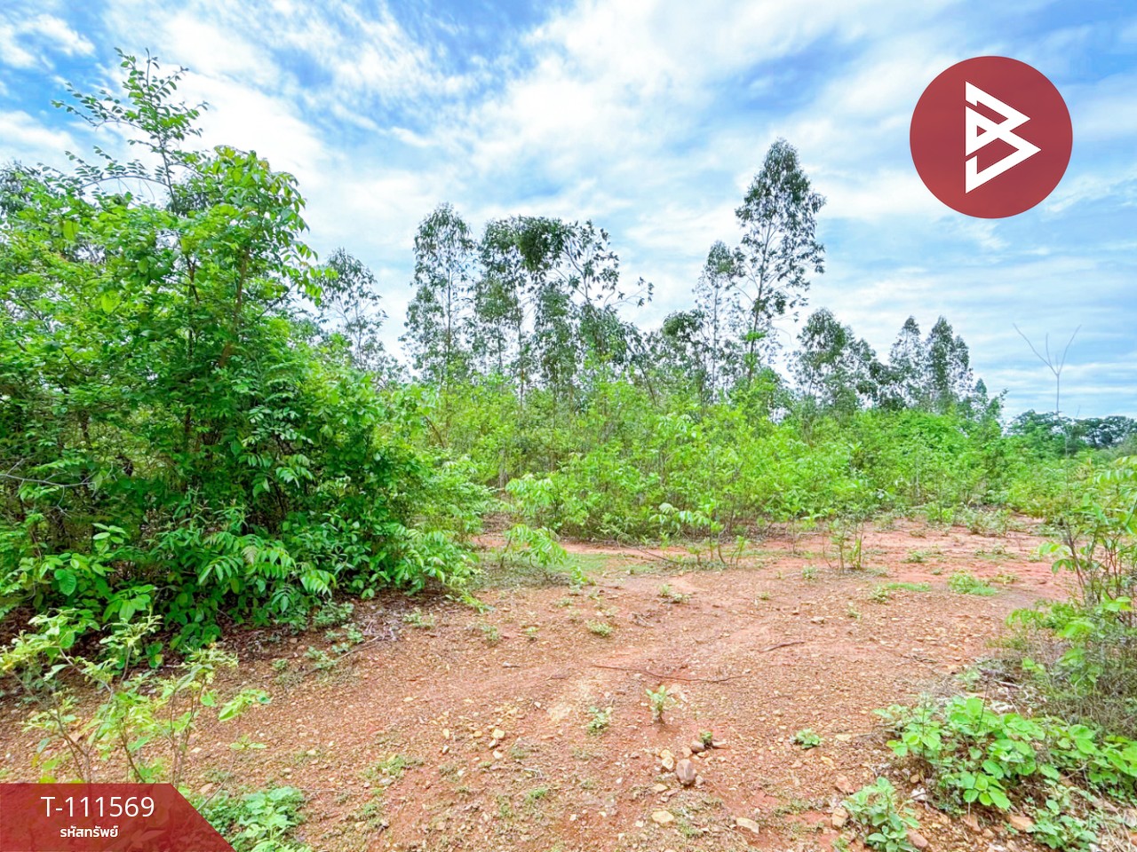 ขายที่ดิน โฉนดครุฑแดง เนื้อที่ 14 ไร่ 3 งาน 33.2 ตร.วา ปากท่อ ราชบุรี 5