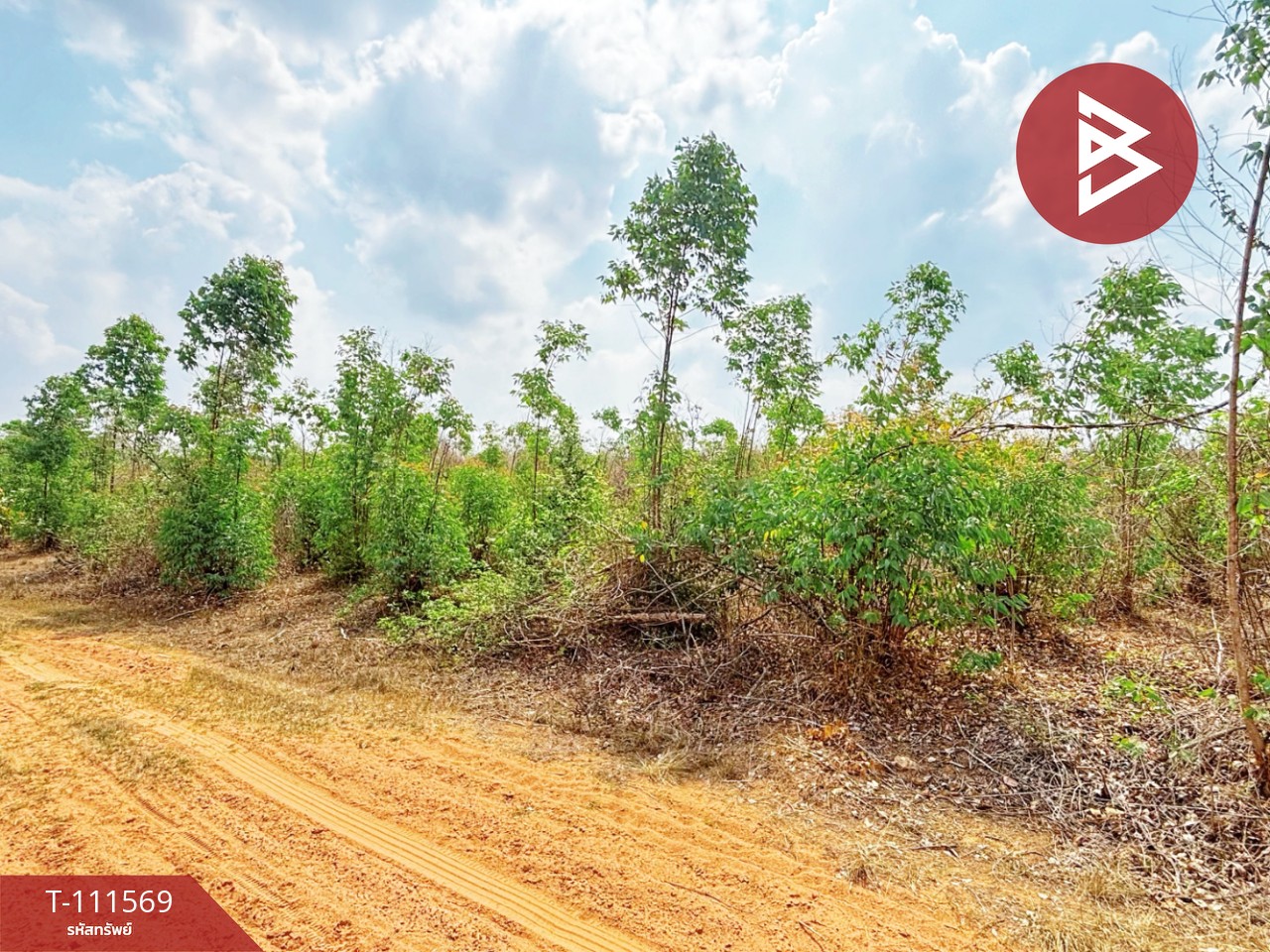 ขายที่ดิน โฉนดครุฑแดง เนื้อที่ 14 ไร่ 3 งาน 33.2 ตร.วา ปากท่อ ราชบุรี 7