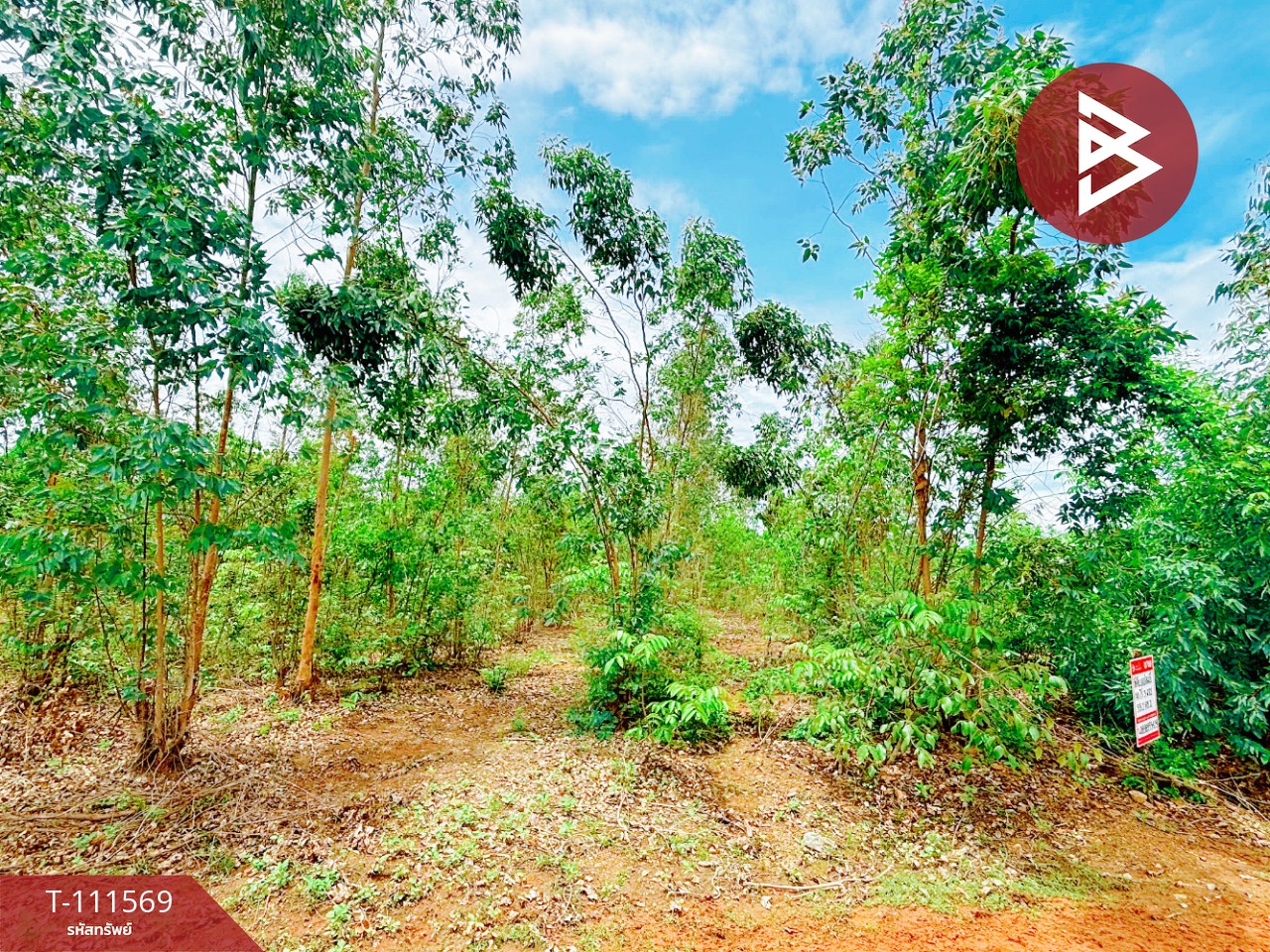 ขายที่ดิน โฉนดครุฑแดง เนื้อที่ 14 ไร่ 3 งาน 33.2 ตร.วา ปากท่อ ราชบุรี 3