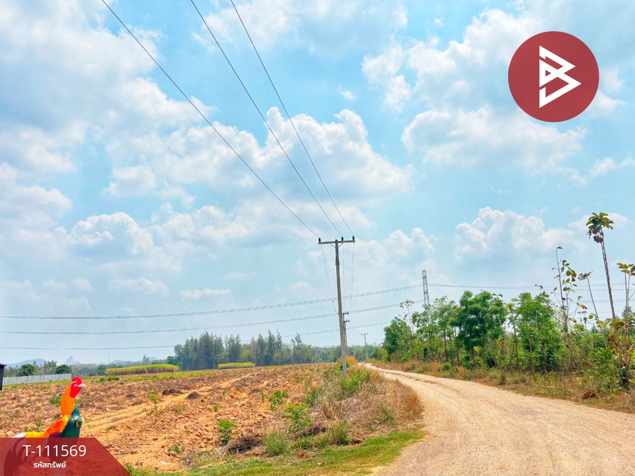 ขายที่ดิน โฉนดครุฑแดง เนื้อที่ 14 ไร่ 3 งาน 33.2 ตร.วา ปากท่อ ราชบุรี 11