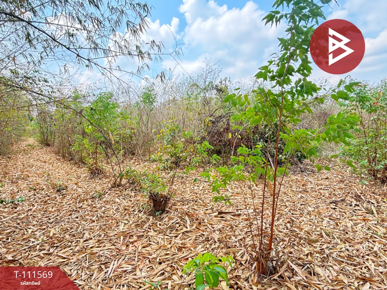 ขายที่ดิน โฉนดครุฑแดง เนื้อที่ 14 ไร่ 3 งาน 33.2 ตร.วา ปากท่อ ราชบุรี 8