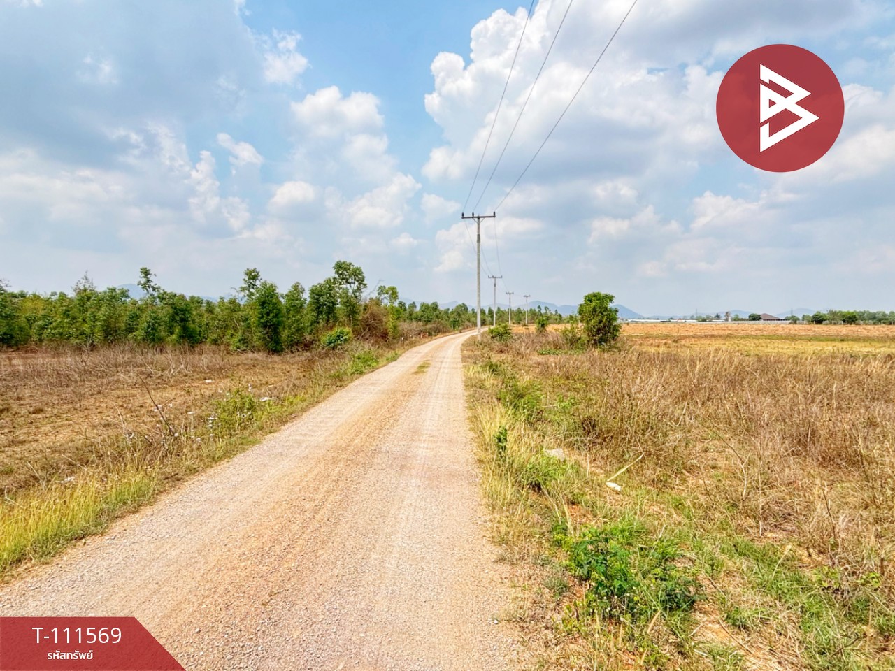 ขายที่ดิน โฉนดครุฑแดง เนื้อที่ 14 ไร่ 3 งาน 33.2 ตร.วา ปากท่อ ราชบุรี 12