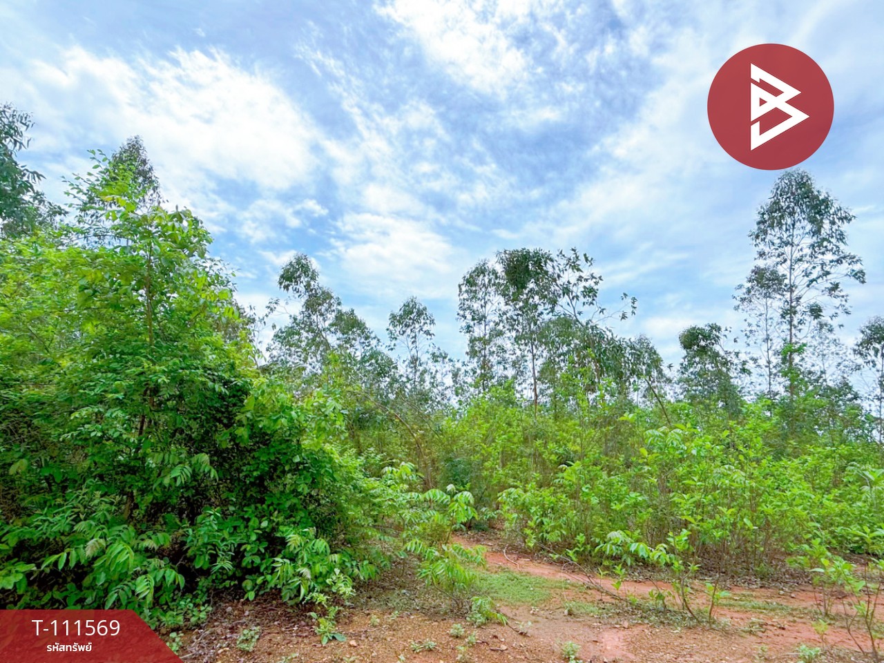 ขายที่ดิน โฉนดครุฑแดง เนื้อที่ 14 ไร่ 3 งาน 33.2 ตร.วา ปากท่อ ราชบุรี 4