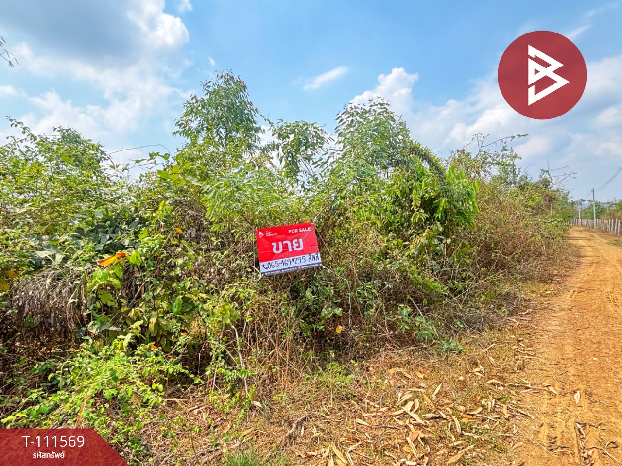 ขายที่ดิน โฉนดครุฑแดง เนื้อที่ 14 ไร่ 3 งาน 33.2 ตร.วา ปากท่อ ราชบุรี 10