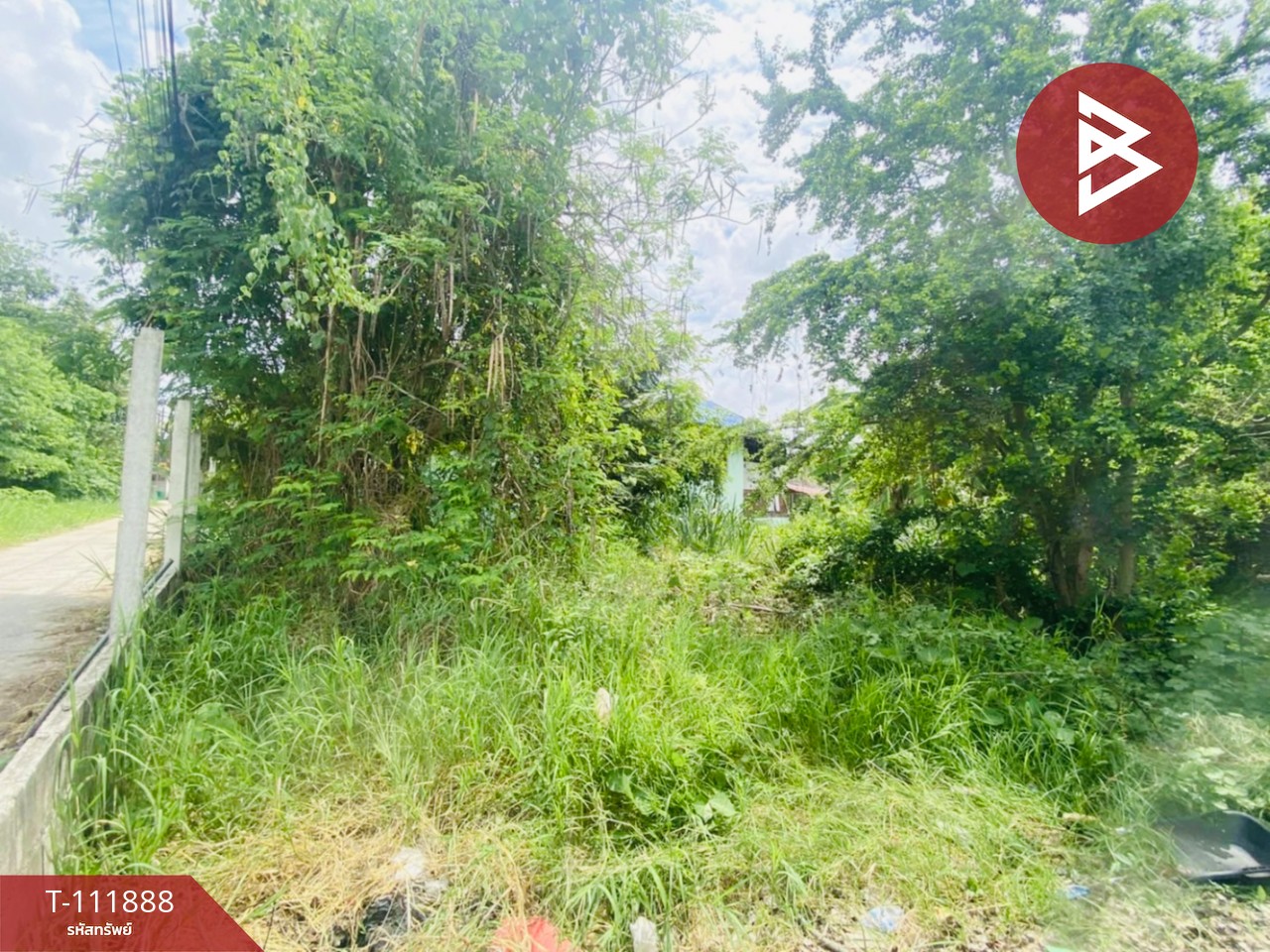 ขายที่ดินพร้อมสิ่งปลูกสร้าง เนื้อที่ 3 งาน 54.5 ตร.วา ป่าเลา เพชรบูรณ์ 10