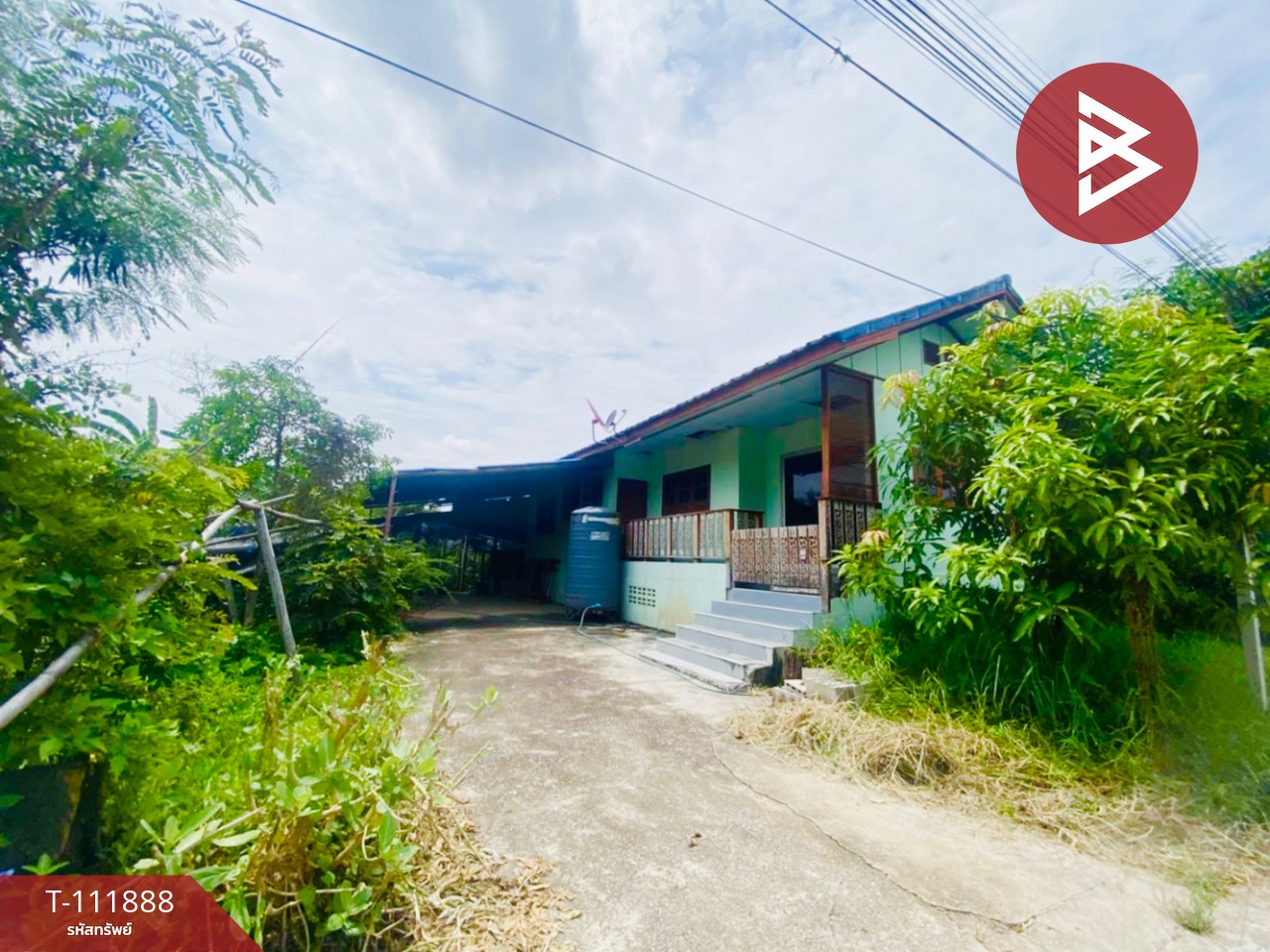 ขายที่ดินพร้อมสิ่งปลูกสร้าง เนื้อที่ 3 งาน 54.5 ตร.วา ป่าเลา เพชรบูรณ์ 8