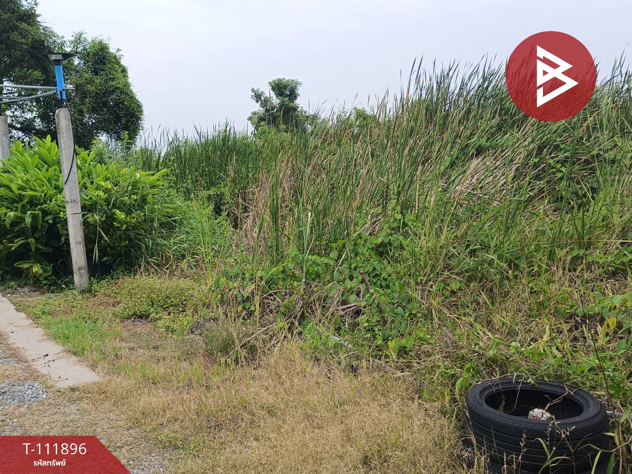 ขายที่ดิน เนื้อที่ 1 งาน ซอยวัดสุขใจ 34 คลองสามวา กรุงเทพมหานคร 4