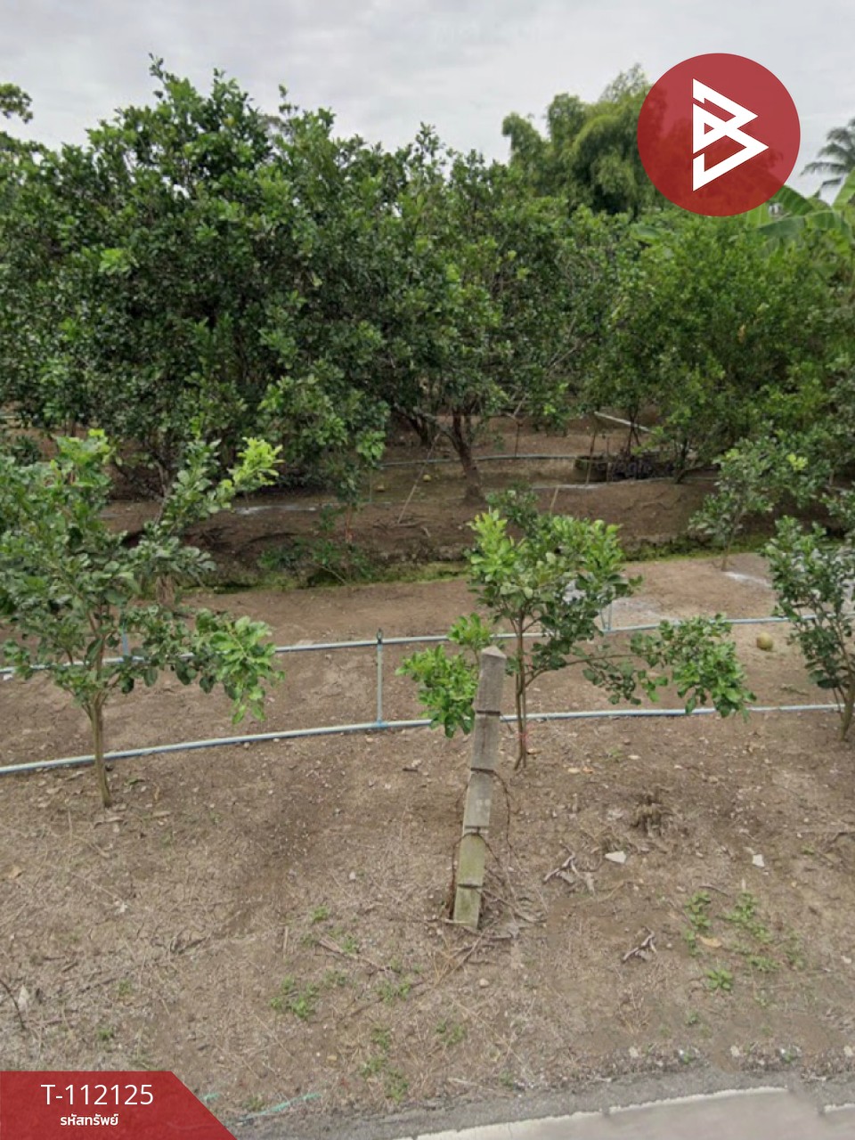 Property image 10