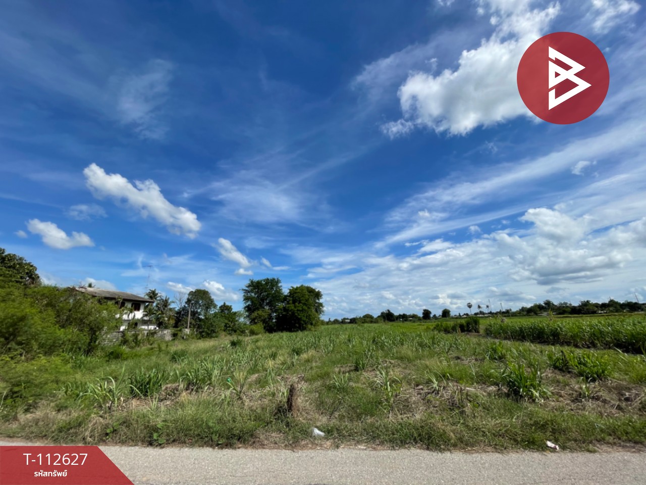 ขายที่ดิน เนื้อที่ 4 ไร่ 56 ตร.วา ท่าม่วง กาญจนบุรี 1