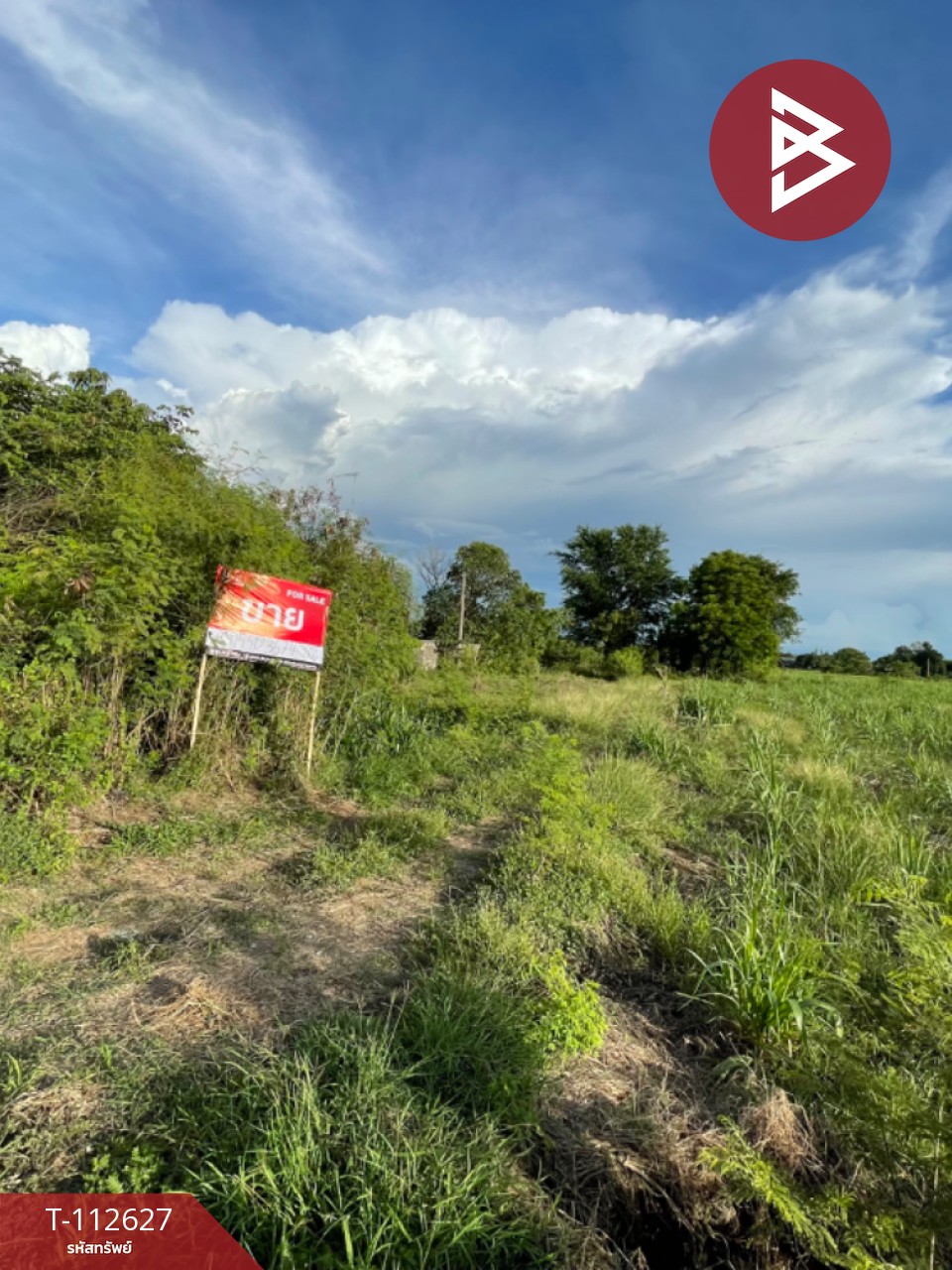 ขายที่ดิน เนื้อที่ 4 ไร่ 56 ตร.วา ท่าม่วง กาญจนบุรี 3