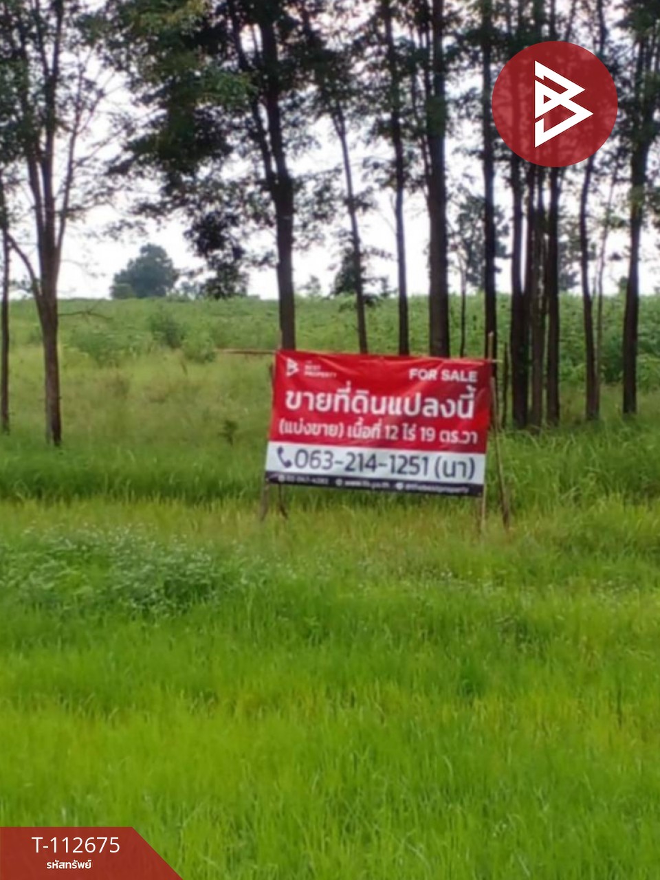 ขายที่ดิน เนื้อที่ 12 ไร่ 19 ตร.วา กุดรัง มหาสารคาม 8