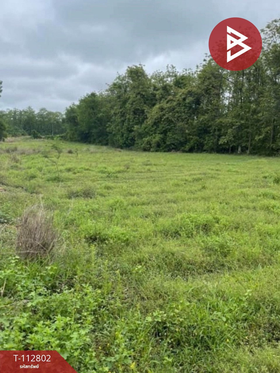 ขายที่ดิน เนื้อที่ 3 ไร่ 2 งาน 20 ตร.วา ติดถนน ใกล้วัดพระแท่น ลับแล อุตรดิตถ์ 3