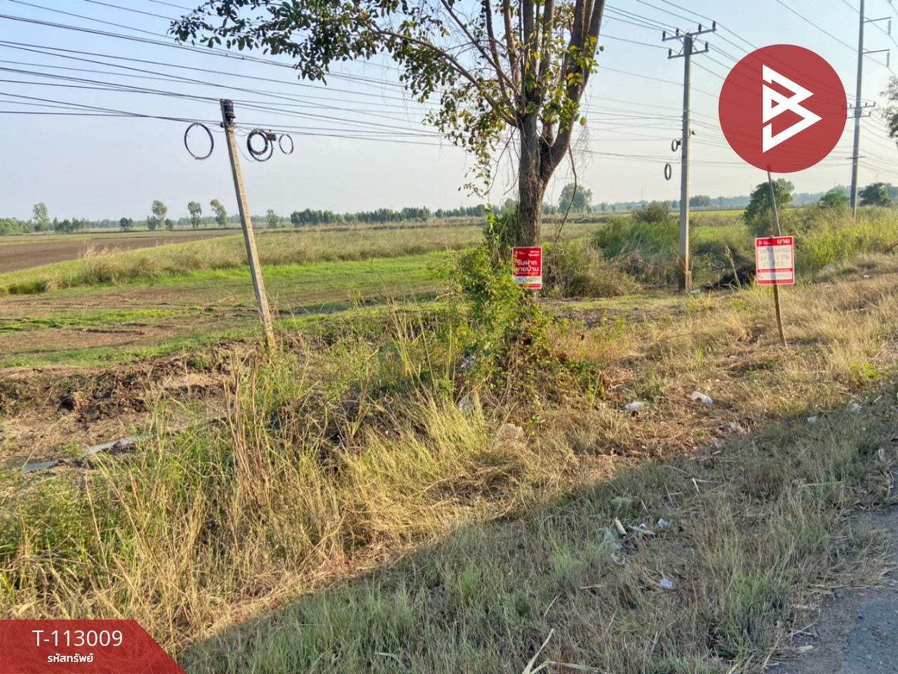 ขายที่ดิน เนื้อที่ 24 ไร่ 2 งาน 27 ตร.วา ท่าตะโก นครสวรรค์ 3