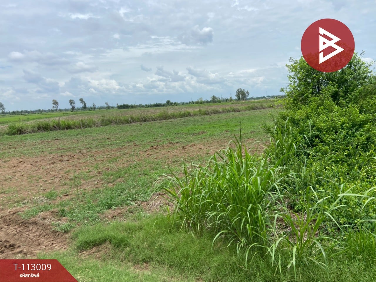 ขายที่ดิน เนื้อที่ 24 ไร่ 2 งาน 27 ตร.วา ท่าตะโก นครสวรรค์ 13