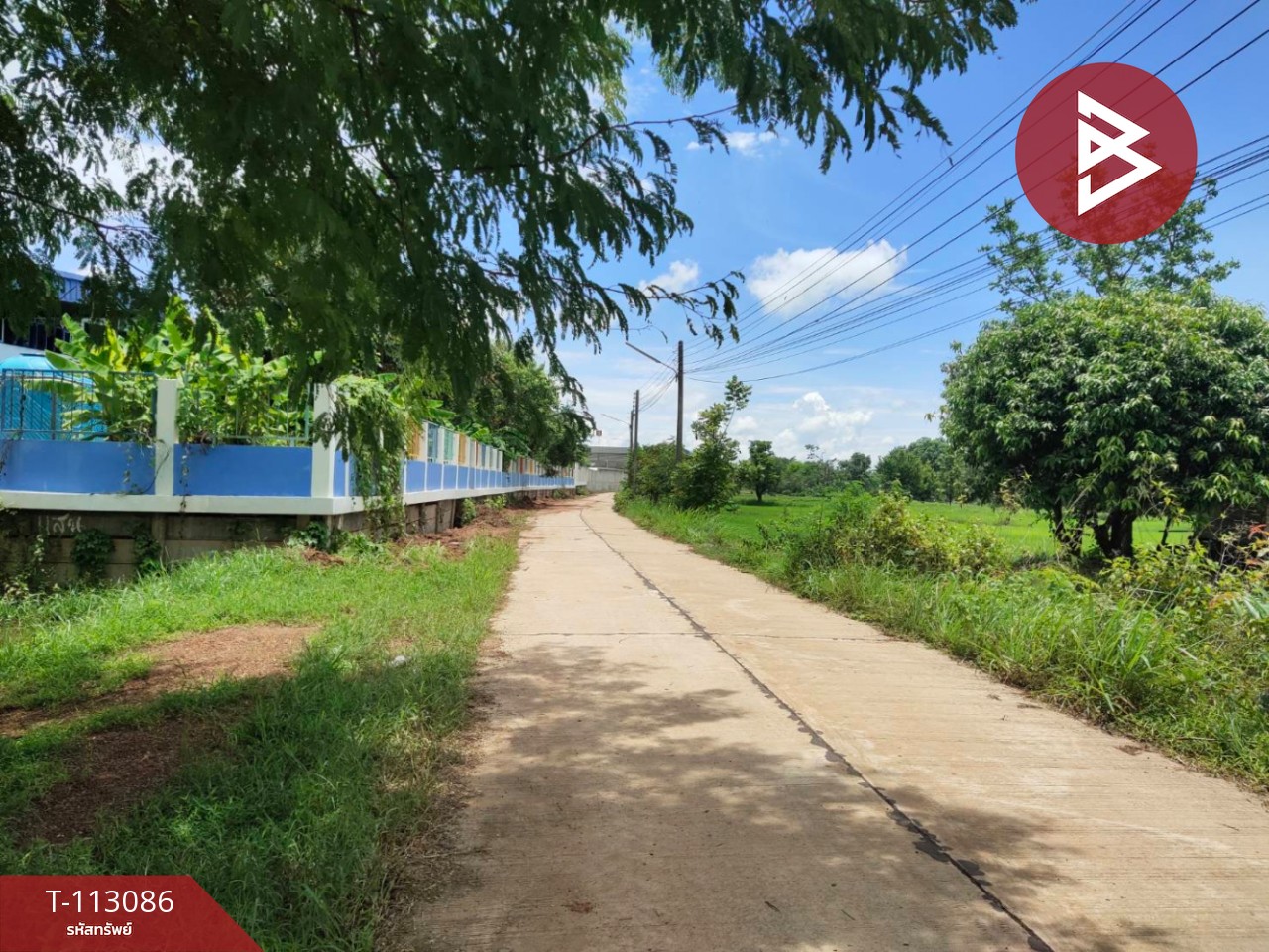 ขายที่ดิน เนื้อที่ 4 ไร่ กลางเมืองนาหว้า นครพนม ทำเลดี 3