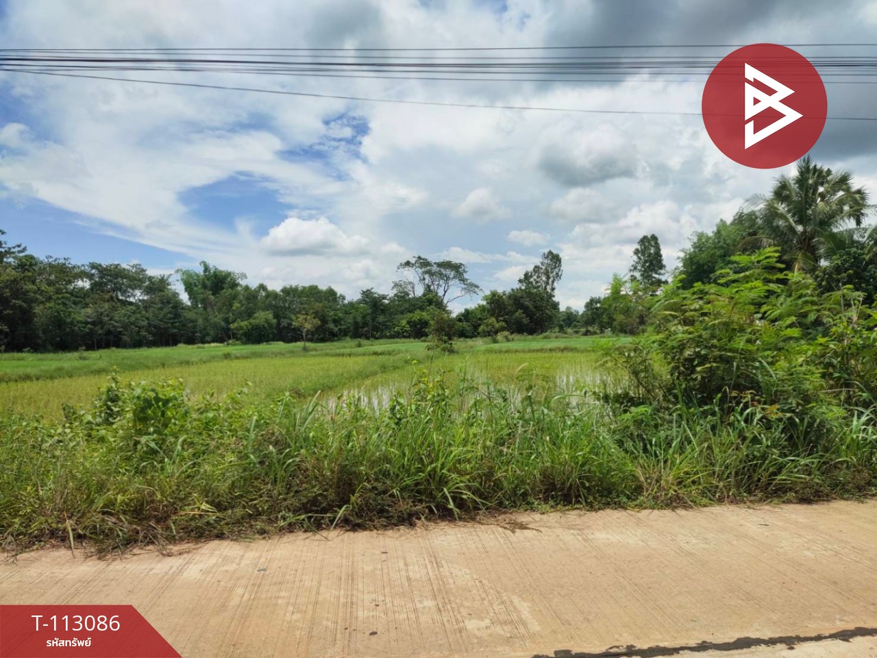 ขายที่ดิน เนื้อที่ 4 ไร่ กลางเมืองนาหว้า นครพนม ทำเลดี 2