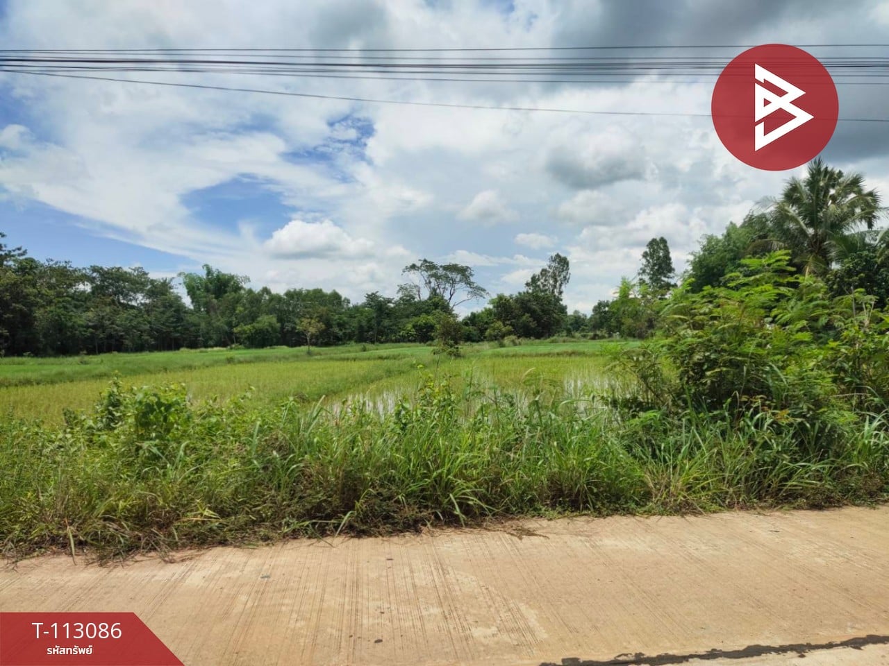 ขายที่ดิน เนื้อที่ 4 ไร่ กลางเมืองนาหว้า นครพนม ทำเลดี 1