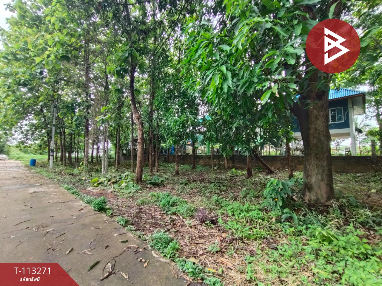 Property image 10