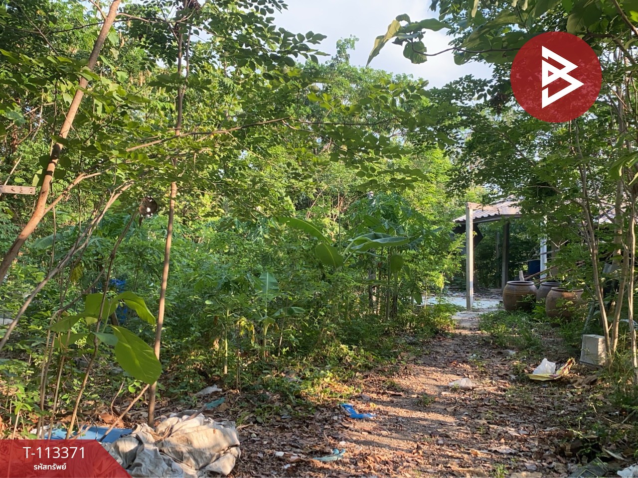 ขายที่ดินพร้อมสิ่งปลูกสร้าง เนื้อที่ 13 ไร่ 1 งาน 44 ตร.วา พนมทวน กาญจนบุรี 13