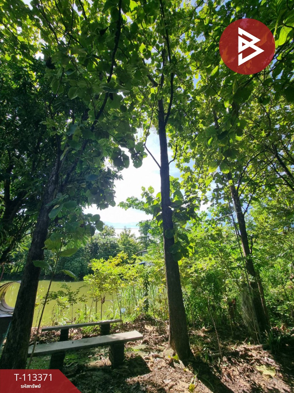 ขายที่ดินพร้อมสิ่งปลูกสร้าง เนื้อที่ 13 ไร่ 1 งาน 44 ตร.วา พนมทวน กาญจนบุรี 5