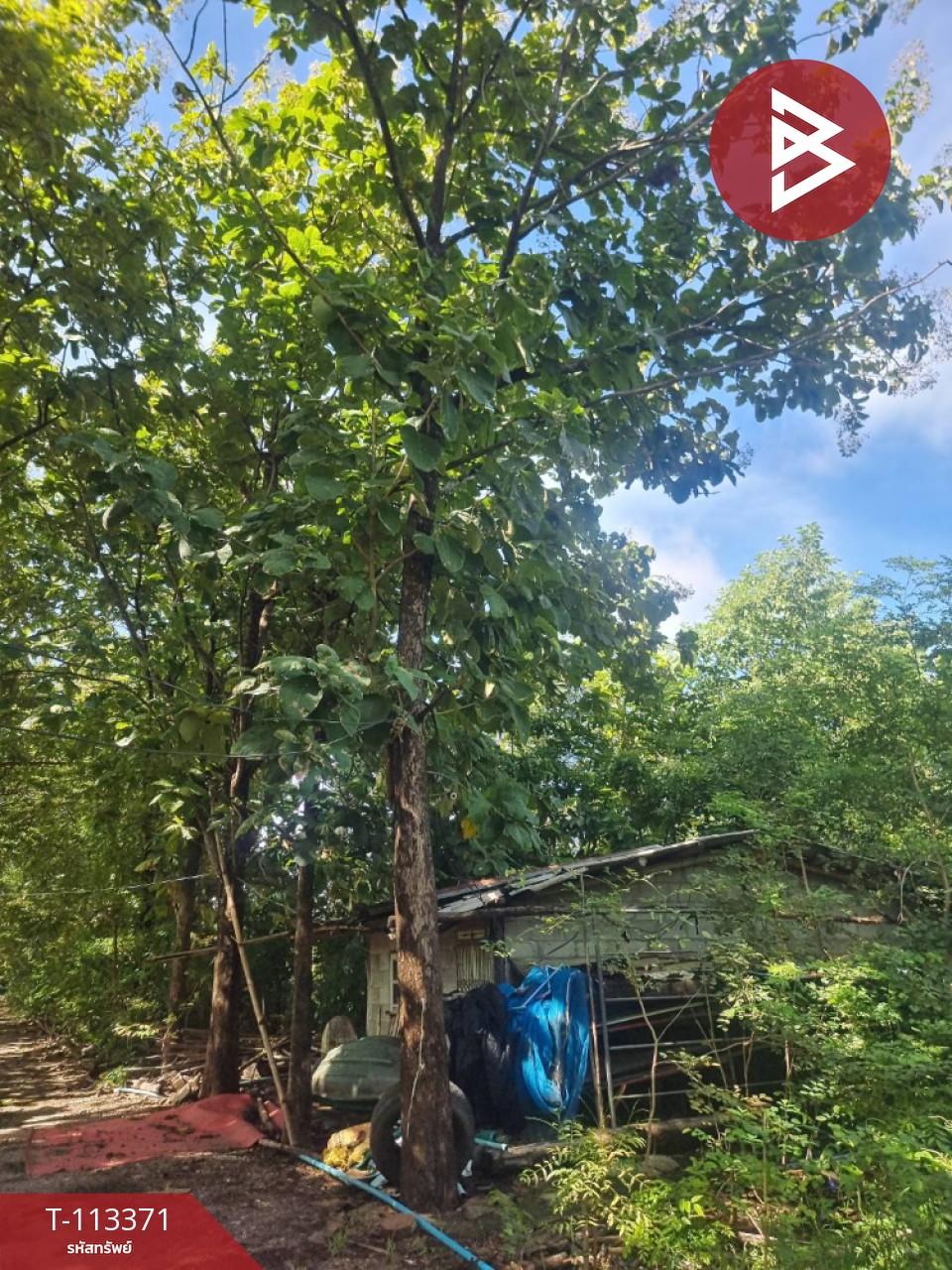 ขายที่ดินพร้อมสิ่งปลูกสร้าง เนื้อที่ 13 ไร่ 1 งาน 44 ตร.วา พนมทวน กาญจนบุรี 7