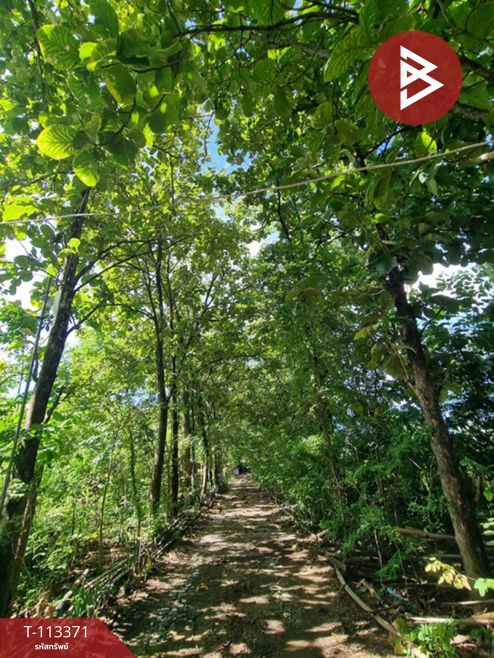 ขายที่ดินพร้อมสิ่งปลูกสร้าง เนื้อที่ 13 ไร่ 1 งาน 44 ตร.วา พนมทวน กาญจนบุรี 6