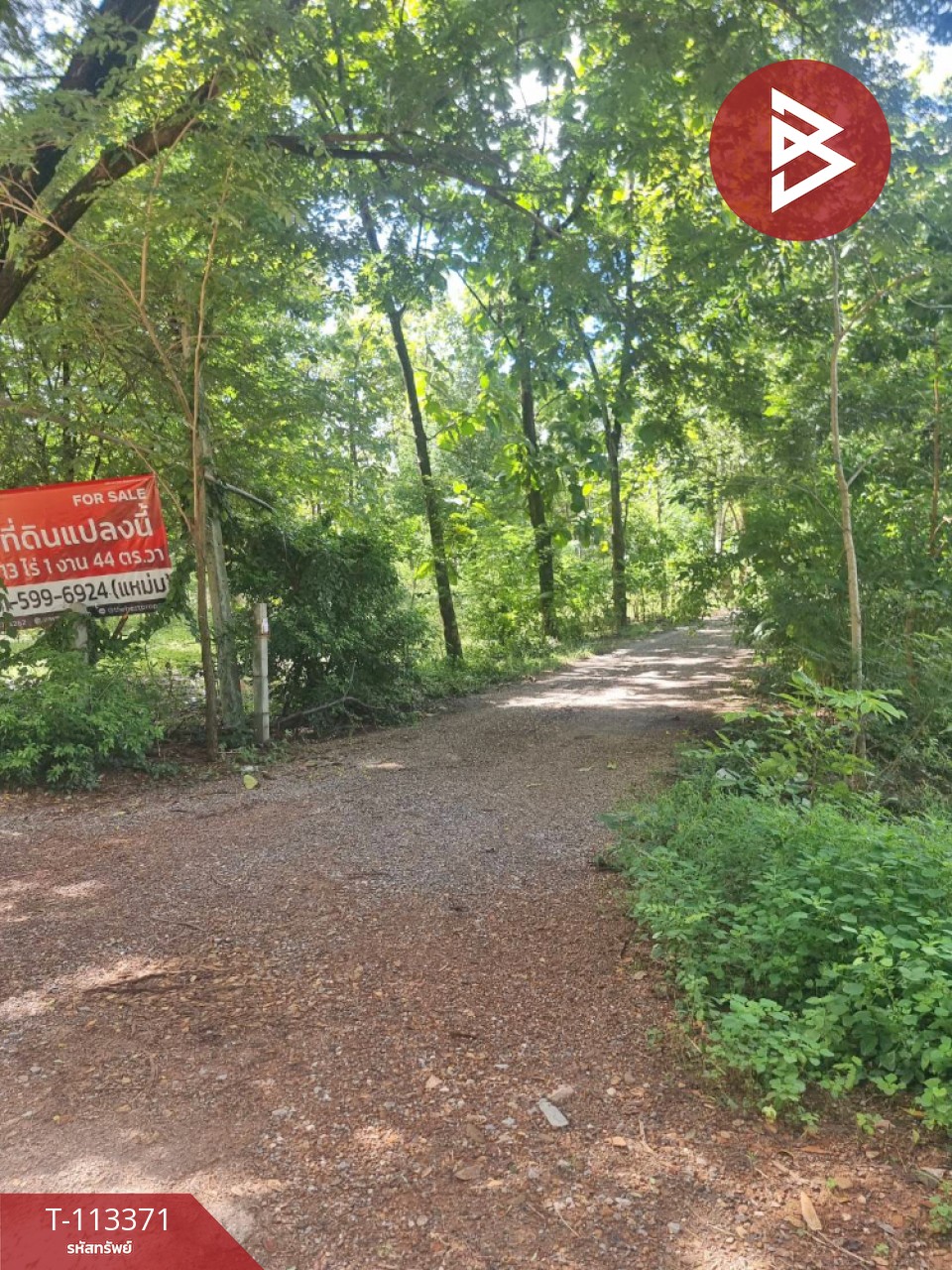 ขายที่ดินพร้อมสิ่งปลูกสร้าง เนื้อที่ 13 ไร่ 1 งาน 44 ตร.วา พนมทวน กาญจนบุรี 2