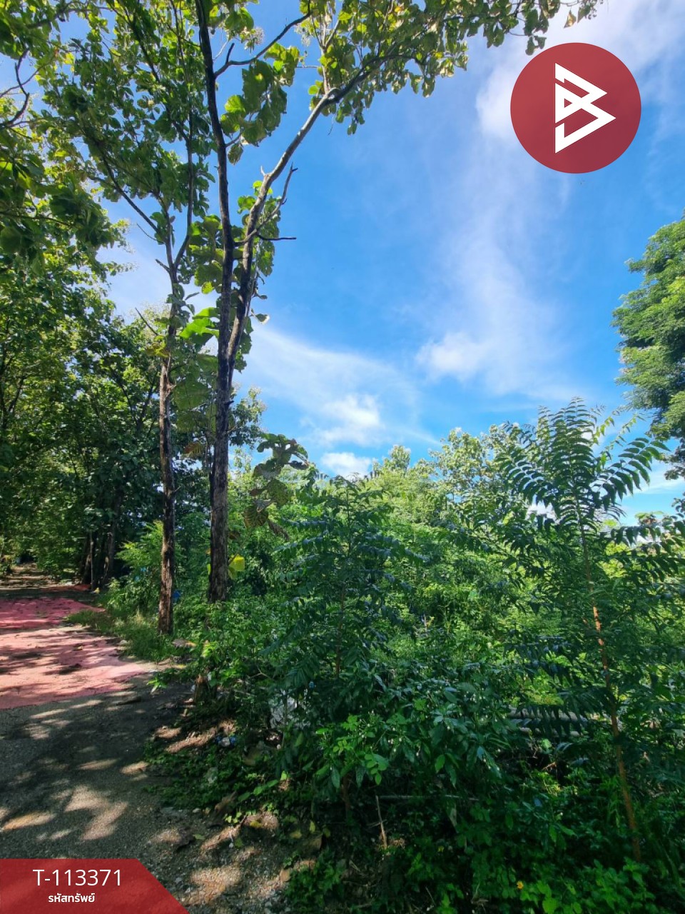 ขายที่ดินพร้อมสิ่งปลูกสร้าง เนื้อที่ 13 ไร่ 1 งาน 44 ตร.วา พนมทวน กาญจนบุรี 3