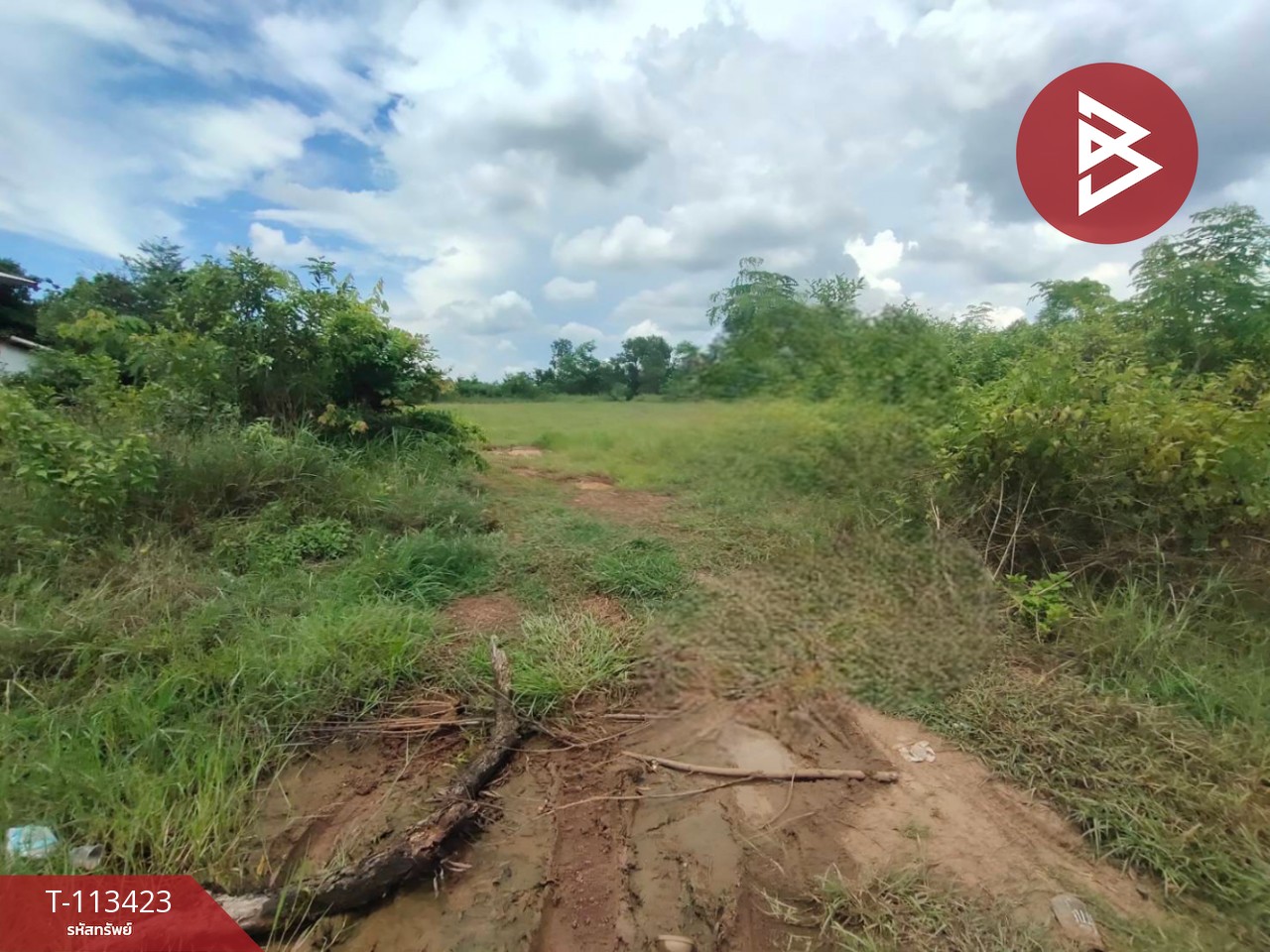 ขายที่ดิน เนื้อที่ 3 ไร่ 42 ตร.วา นาหว้า นครพนม 8