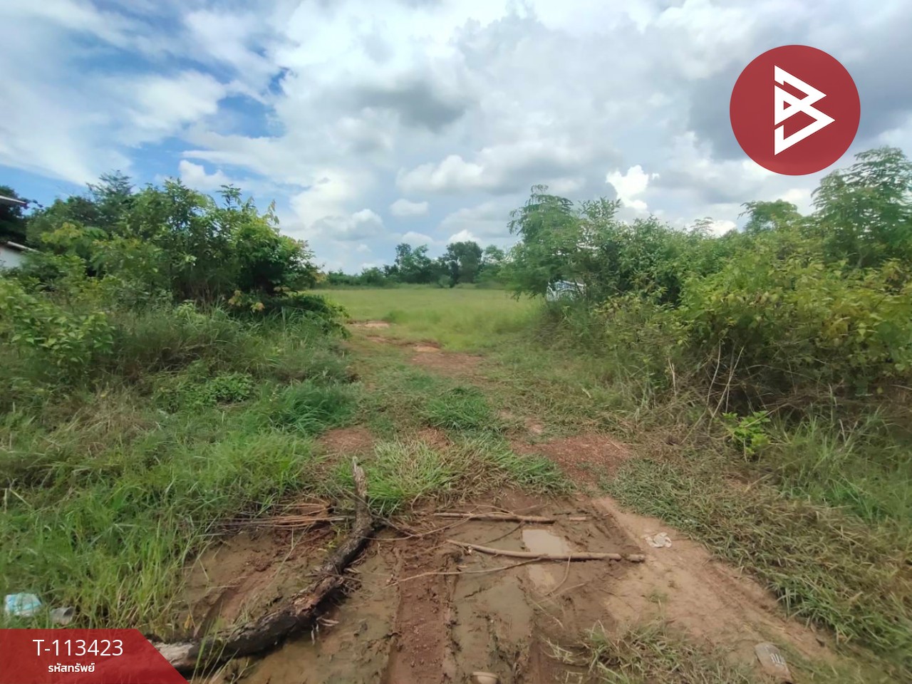 ขายที่ดิน เนื้อที่ 3 ไร่ 42 ตร.วา นาหว้า นครพนม 13