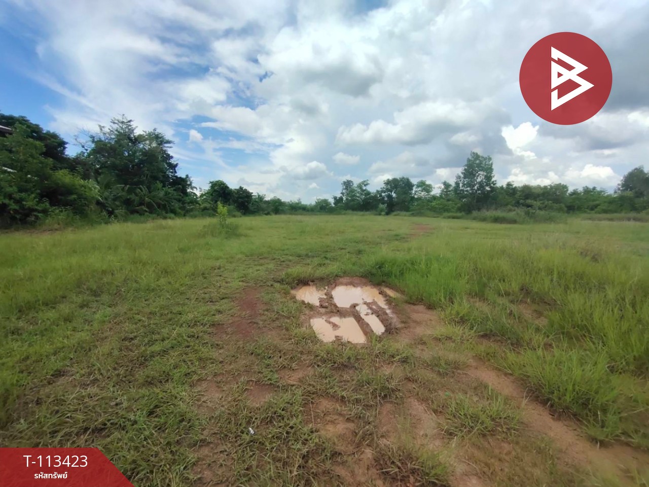 ขายที่ดิน เนื้อที่ 3 ไร่ 42 ตร.วา นาหว้า นครพนม 10