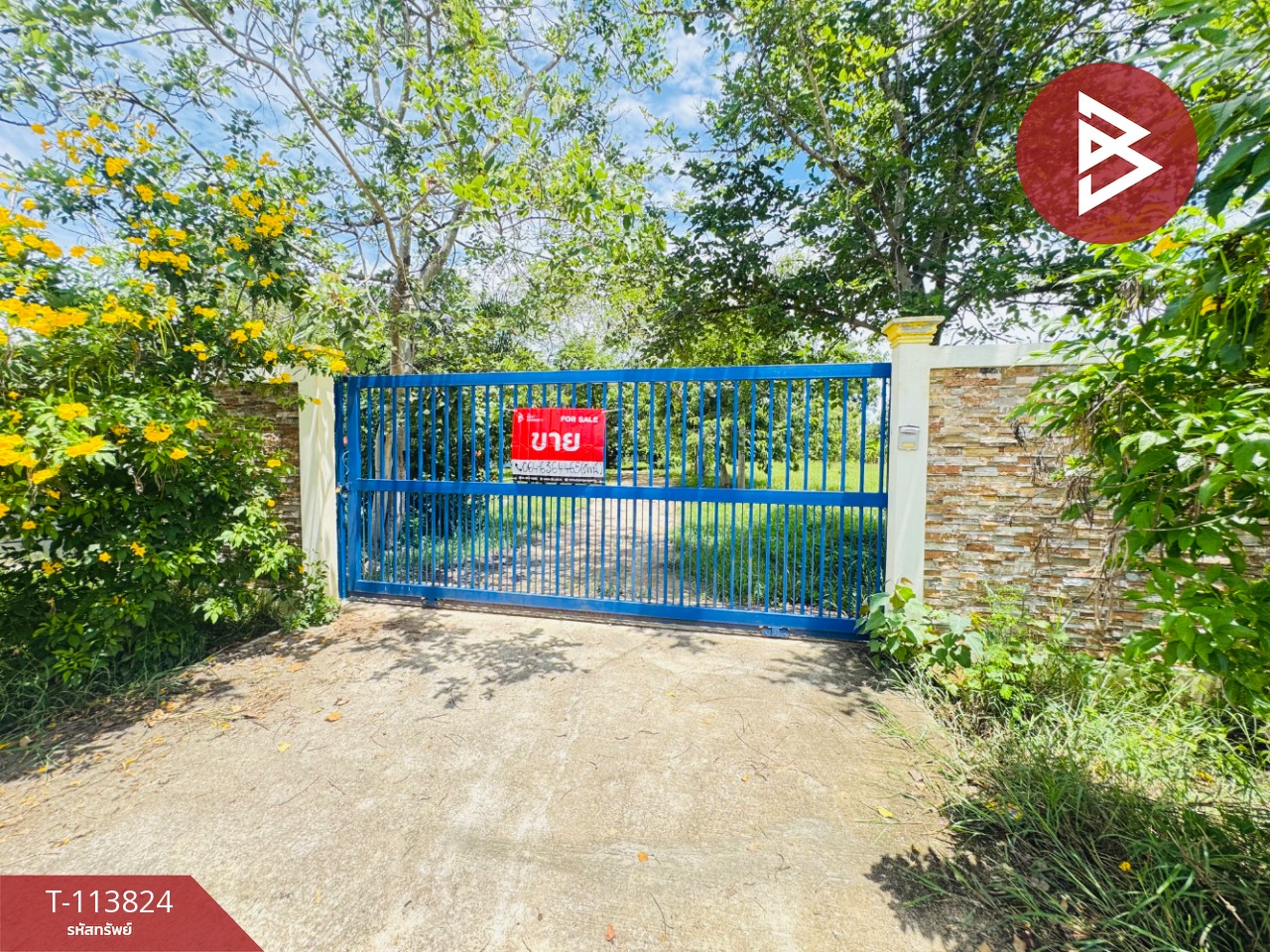 ขายบ้านเดี่ยวพร้อมที่ดิน เนื้อที่ 3 ไร่ ท่ายาง เพชรบุรี 13