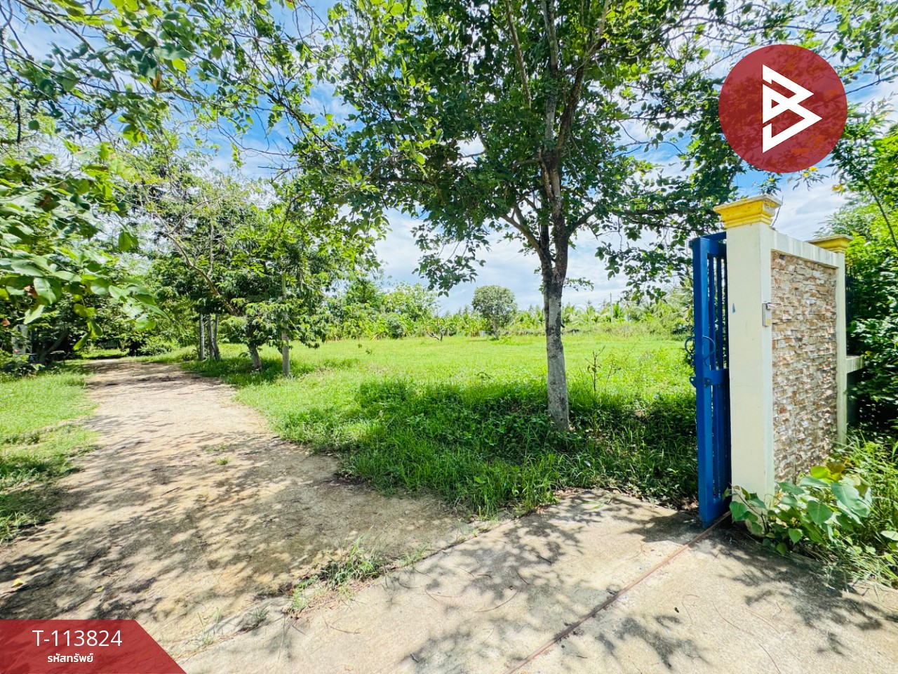 ขายบ้านเดี่ยวพร้อมที่ดิน เนื้อที่ 3 ไร่ ท่ายาง เพชรบุรี 7