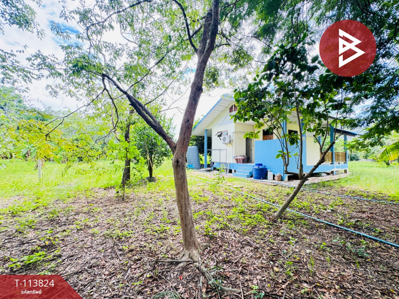 ขายบ้านเดี่ยวพร้อมที่ดิน เนื้อที่ 3 ไร่ ท่ายาง เพชรบุรี 12