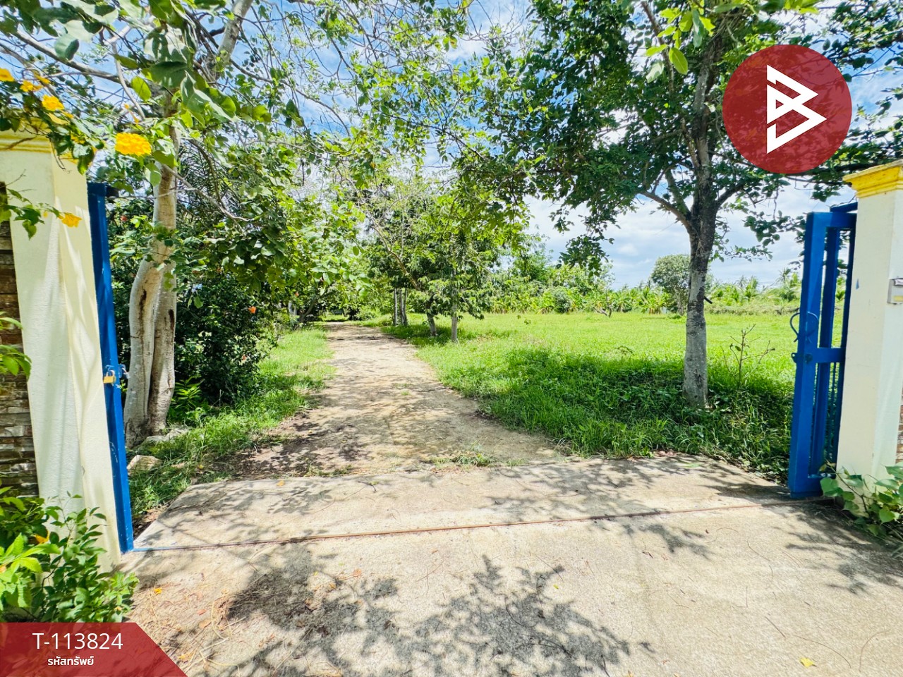 ขายบ้านเดี่ยวพร้อมที่ดิน เนื้อที่ 3 ไร่ ท่ายาง เพชรบุรี 8