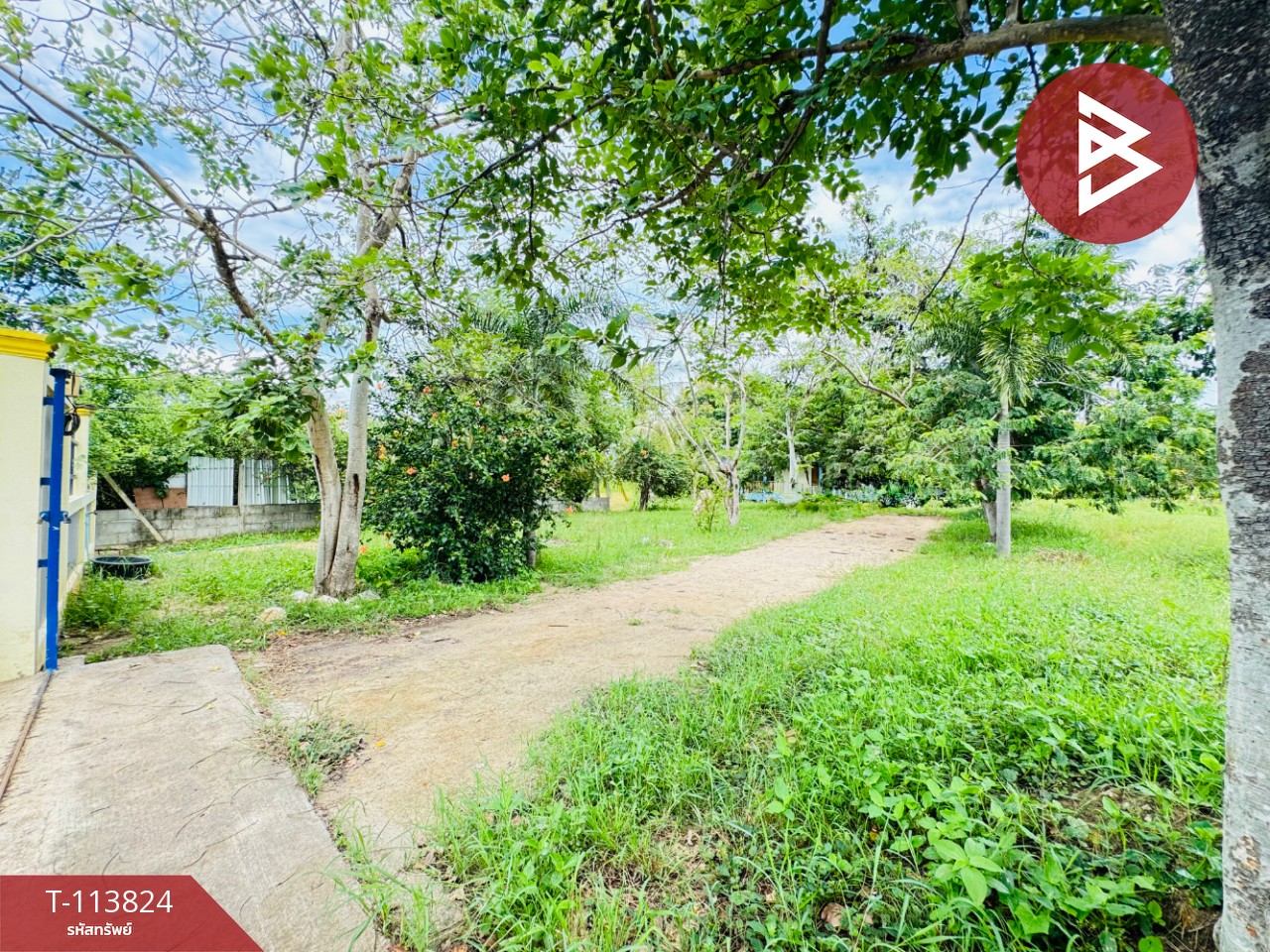 ขายบ้านเดี่ยวพร้อมที่ดิน เนื้อที่ 3 ไร่ ท่ายาง เพชรบุรี 10