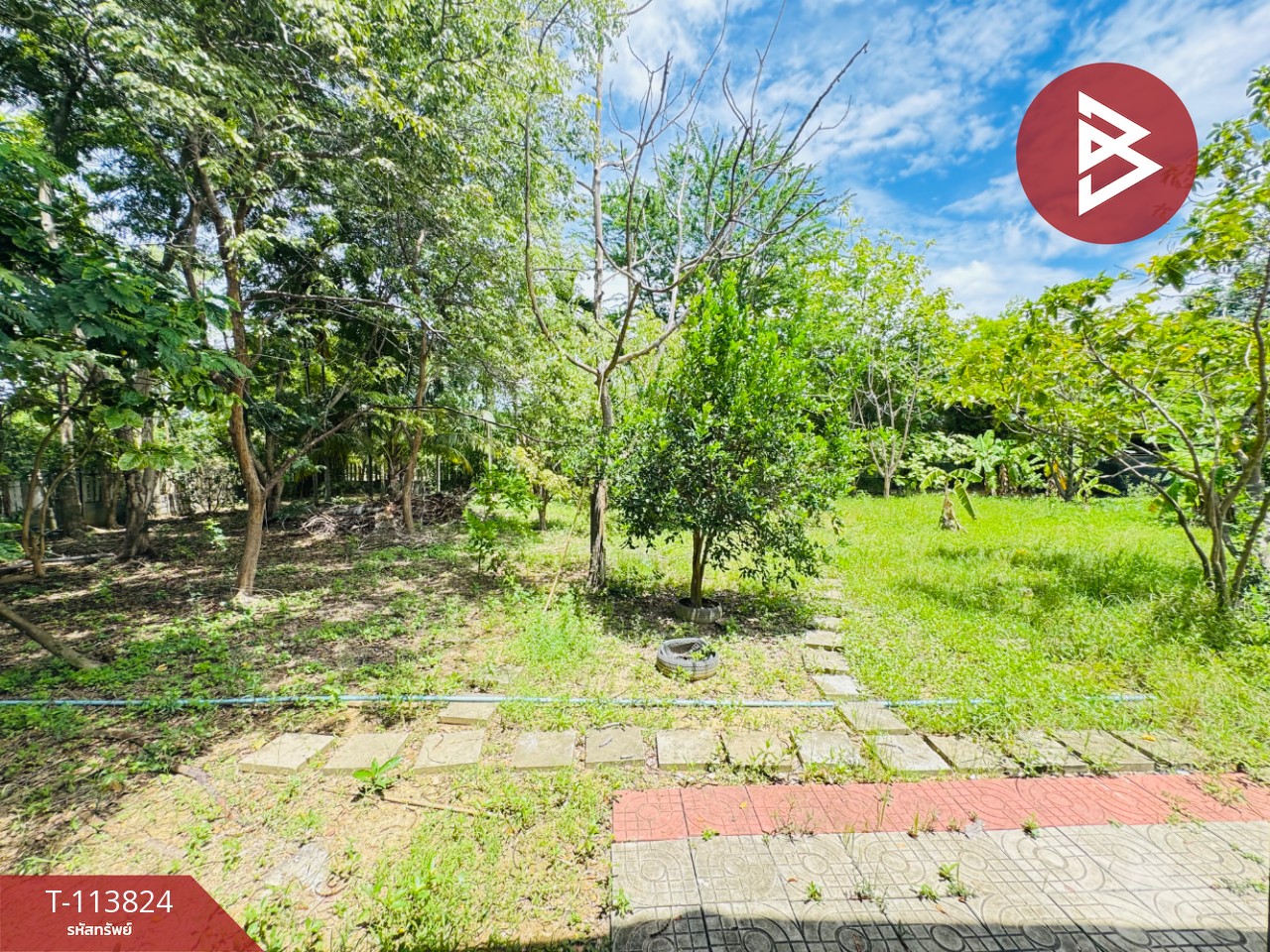 ขายบ้านเดี่ยวพร้อมที่ดิน เนื้อที่ 3 ไร่ ท่ายาง เพชรบุรี 11