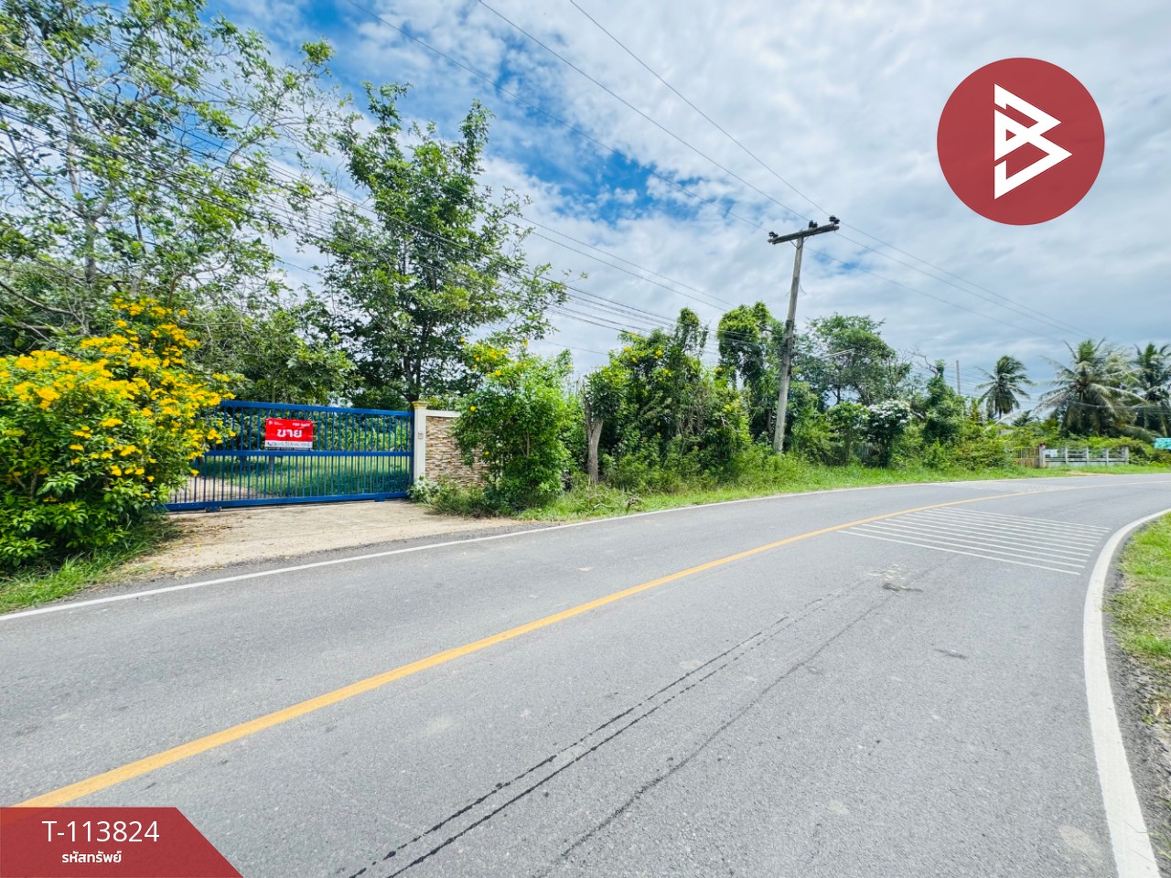 ขายบ้านเดี่ยวพร้อมที่ดิน เนื้อที่ 3 ไร่ ท่ายาง เพชรบุรี 14