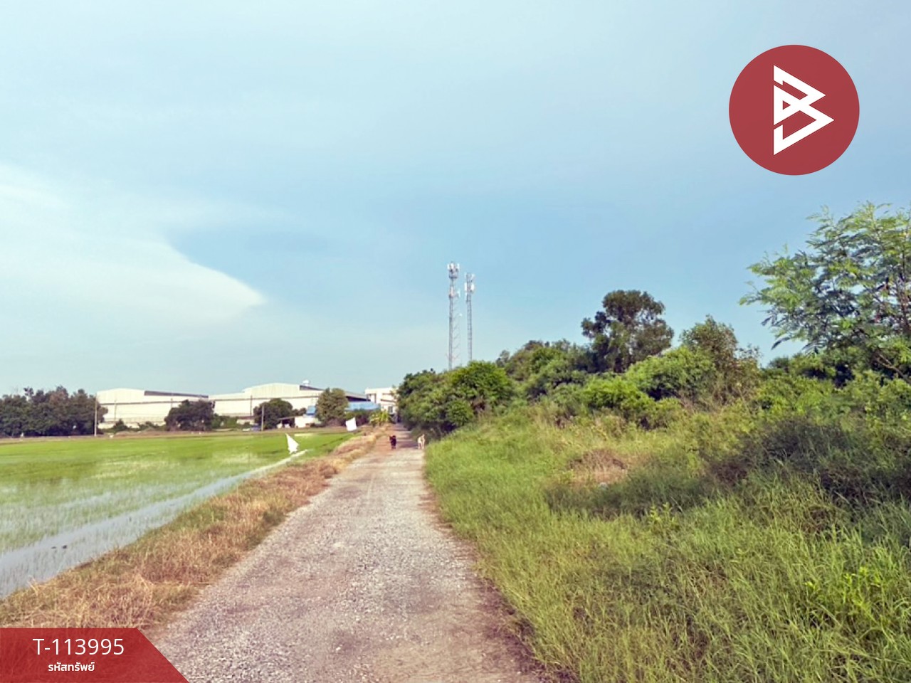 ขายที่ดินถมแล้ว เนื้อที่ 21 ไร่ บางปะกง ฉะเชิงเทรา 2