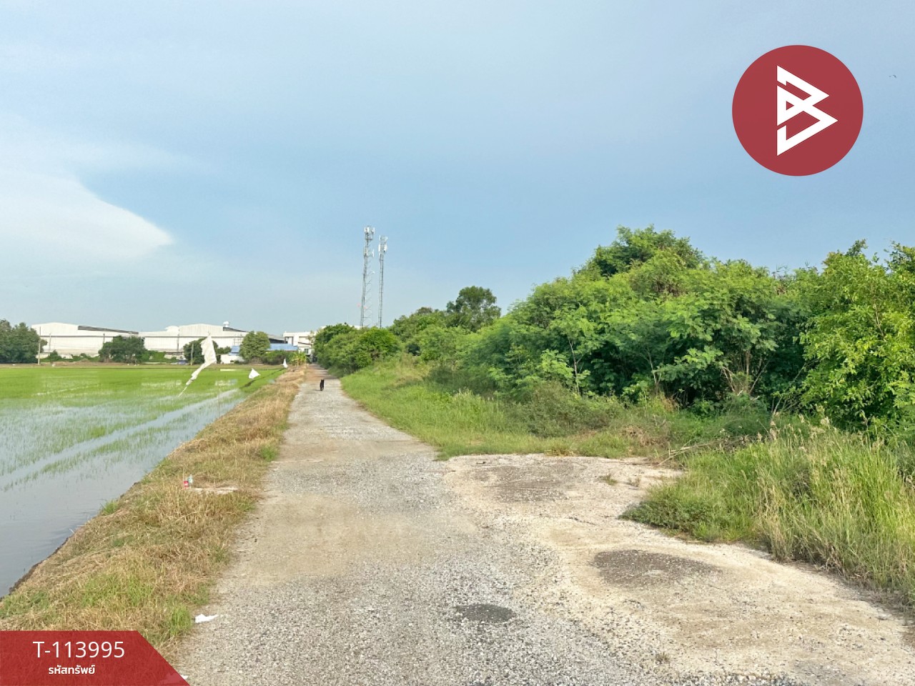 ขายที่ดินถมแล้ว เนื้อที่ 21 ไร่ บางปะกง ฉะเชิงเทรา 3