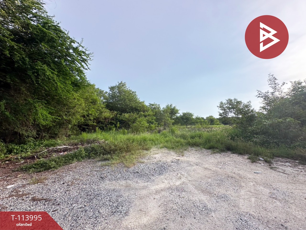 ขายที่ดินถมแล้ว เนื้อที่ 21 ไร่ บางปะกง ฉะเชิงเทรา 4