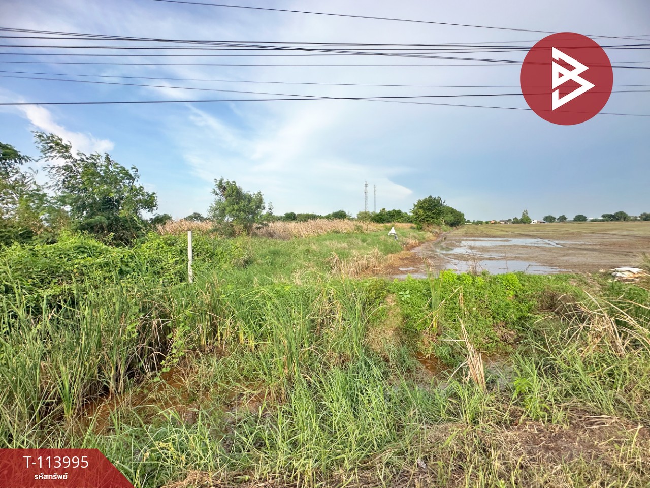 ขายที่ดินถมแล้ว เนื้อที่ 21 ไร่ บางปะกง ฉะเชิงเทรา 1