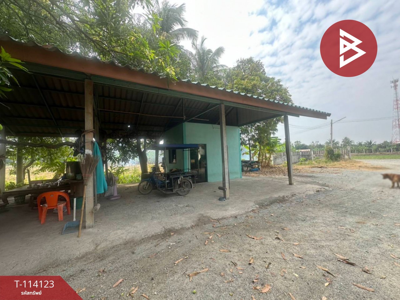 Property image 6